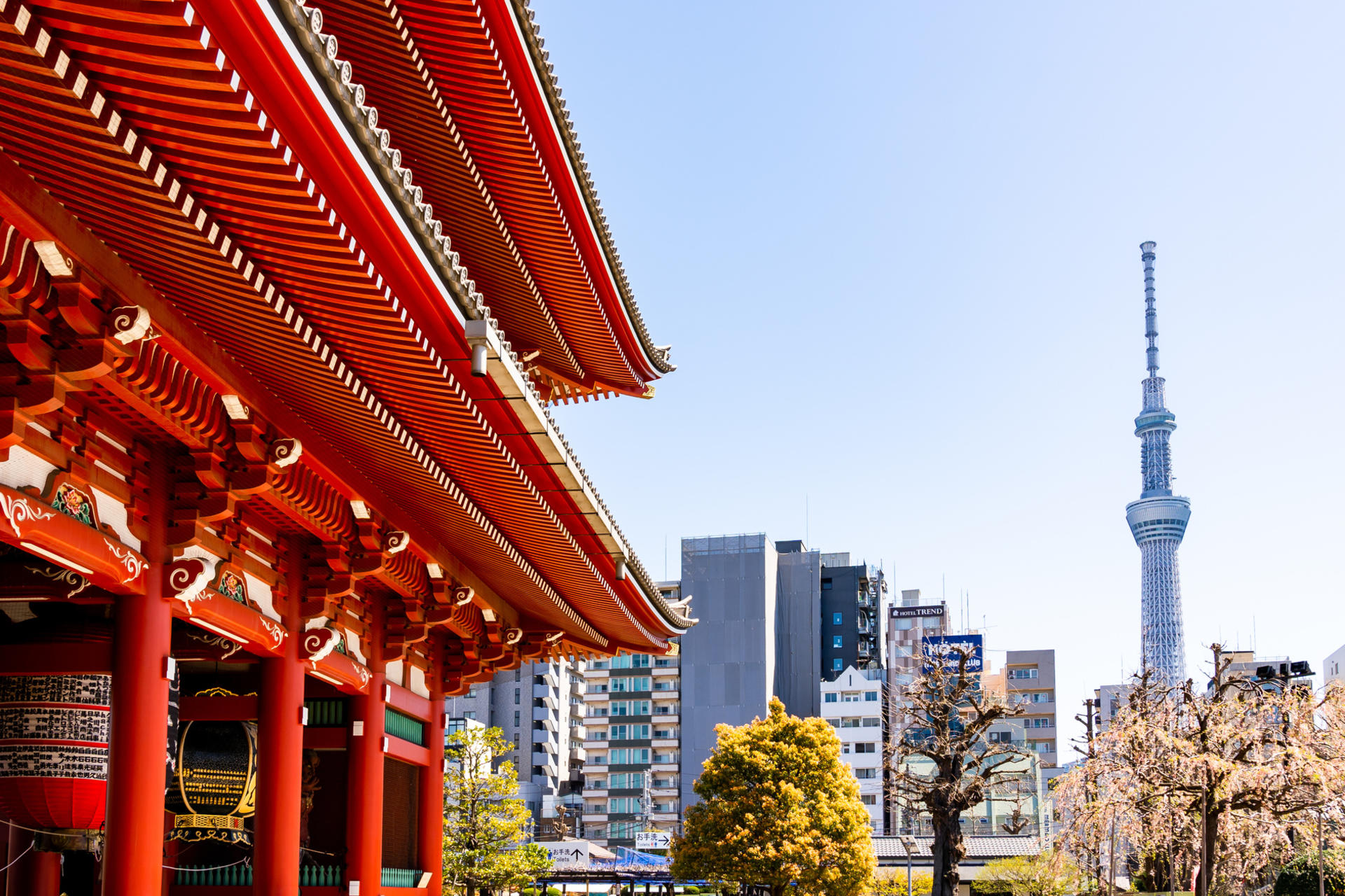 Asakusa, Kappabashi, and Ueno Walking Tour: Experience Tokyo's History and Culture in 3 Hours - Thumbnail 3