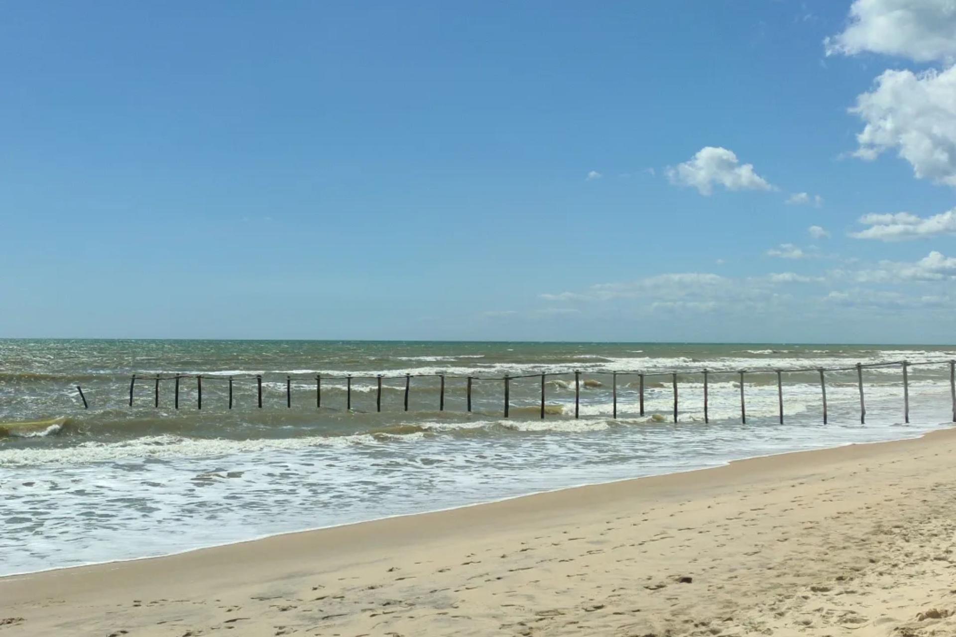 Donana National Park and El Rocio Village Day Tour from Seville - Thumbnail 7