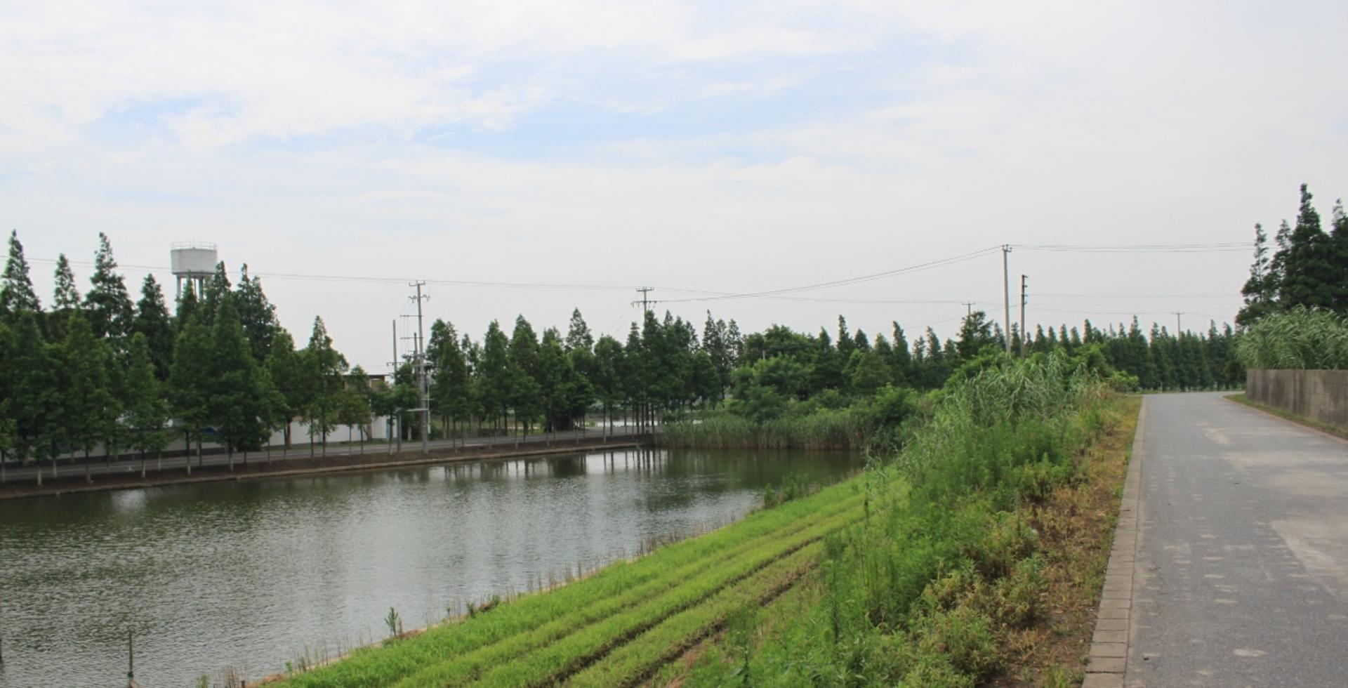 Chongming Island Whole Day Cycling Tour from Shanghai - Thumbnail 3