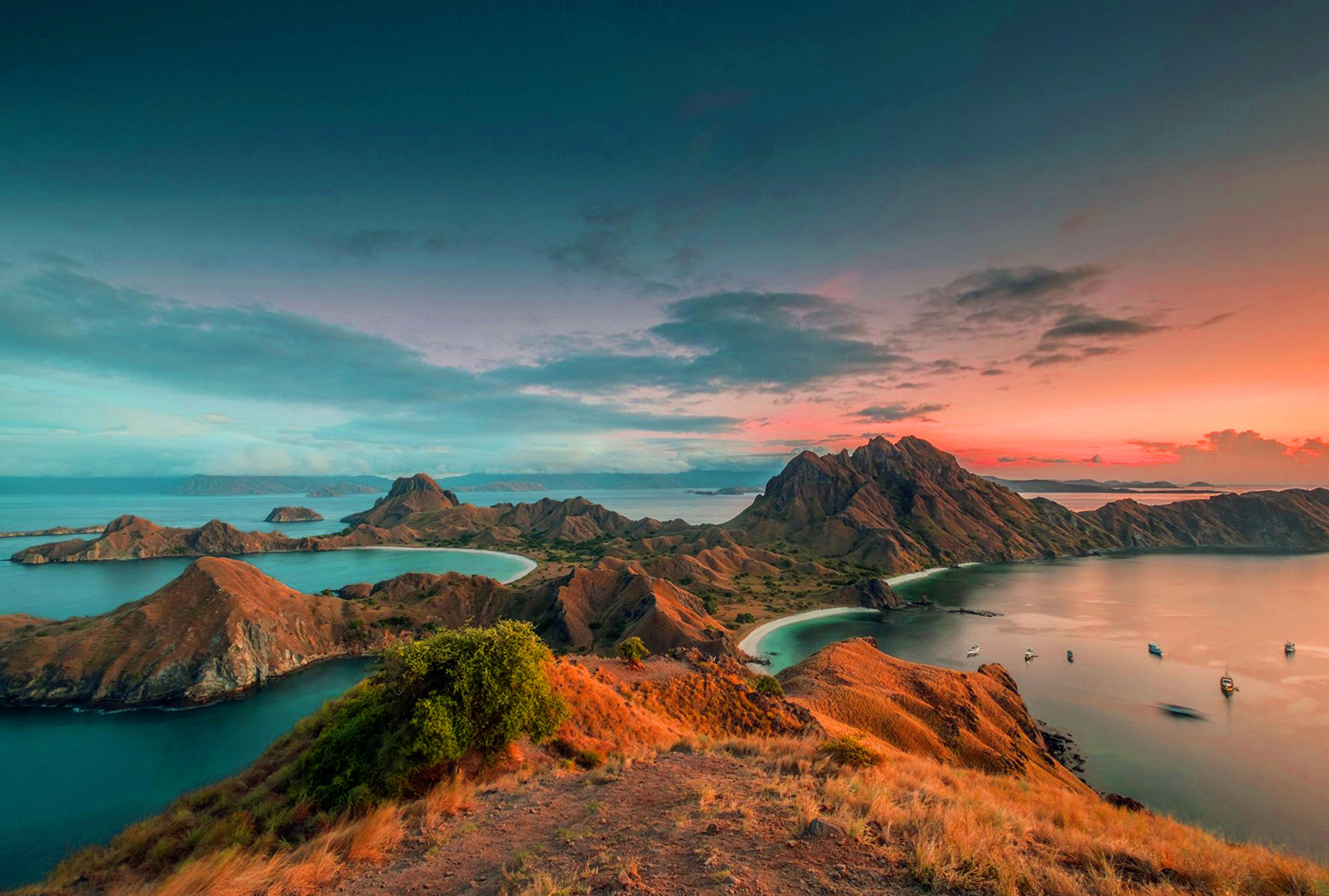 Labuan Bajo Komodo National Park Full-Day National Park Experience - Thumbnail 9