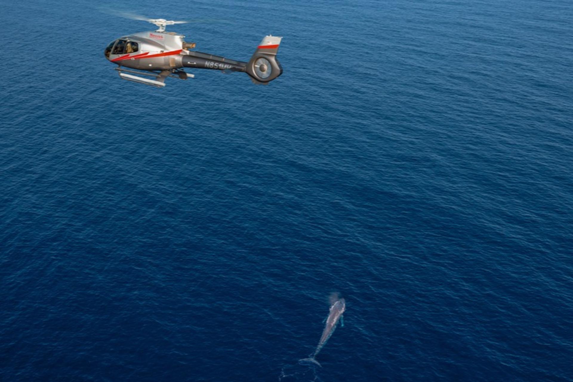 Coastal California Helicopter Experience - Thumbnail 4