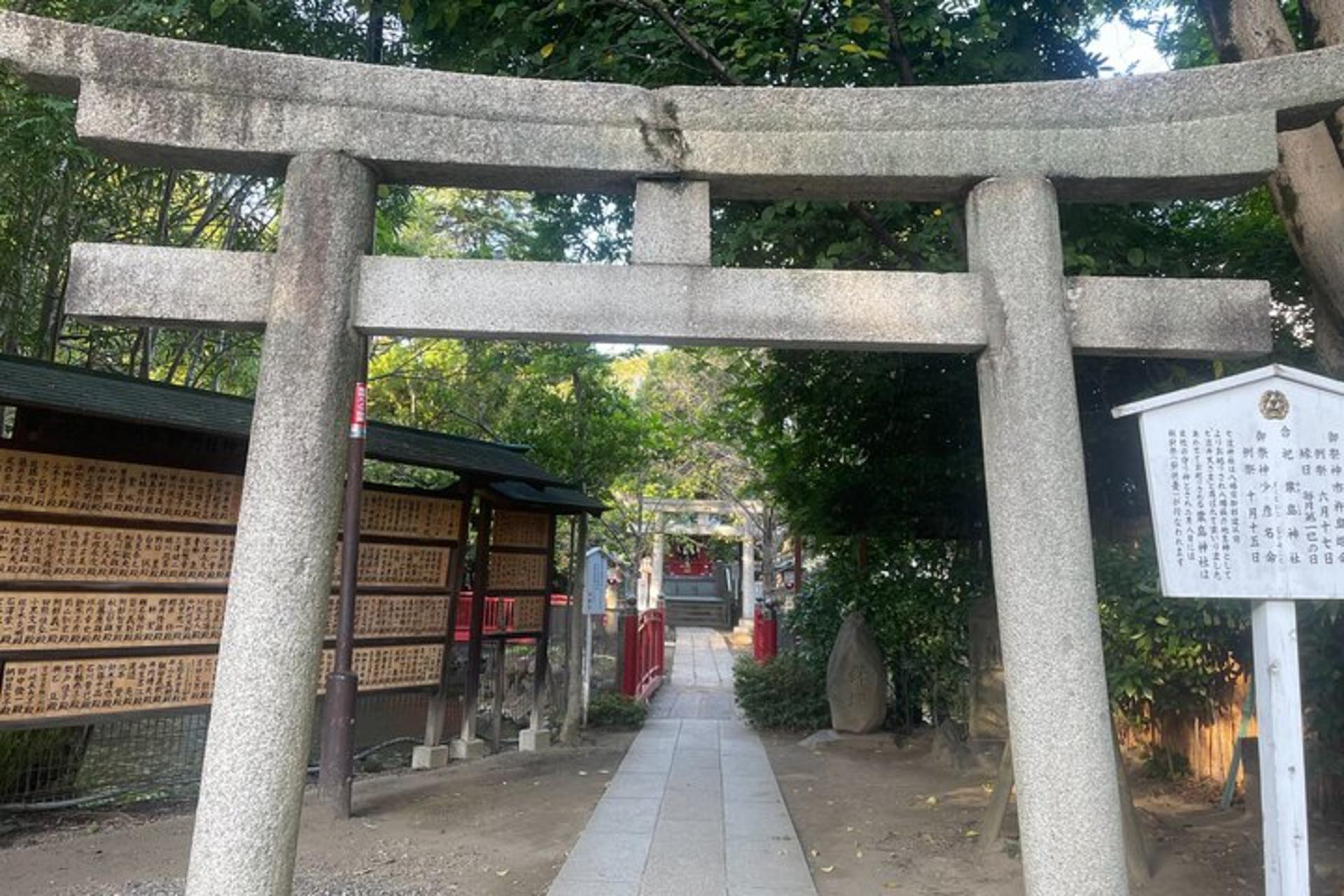 Tokyo: A Cultural Journey and a Little Izakaya Bar Hopping Tour - Thumbnail 12