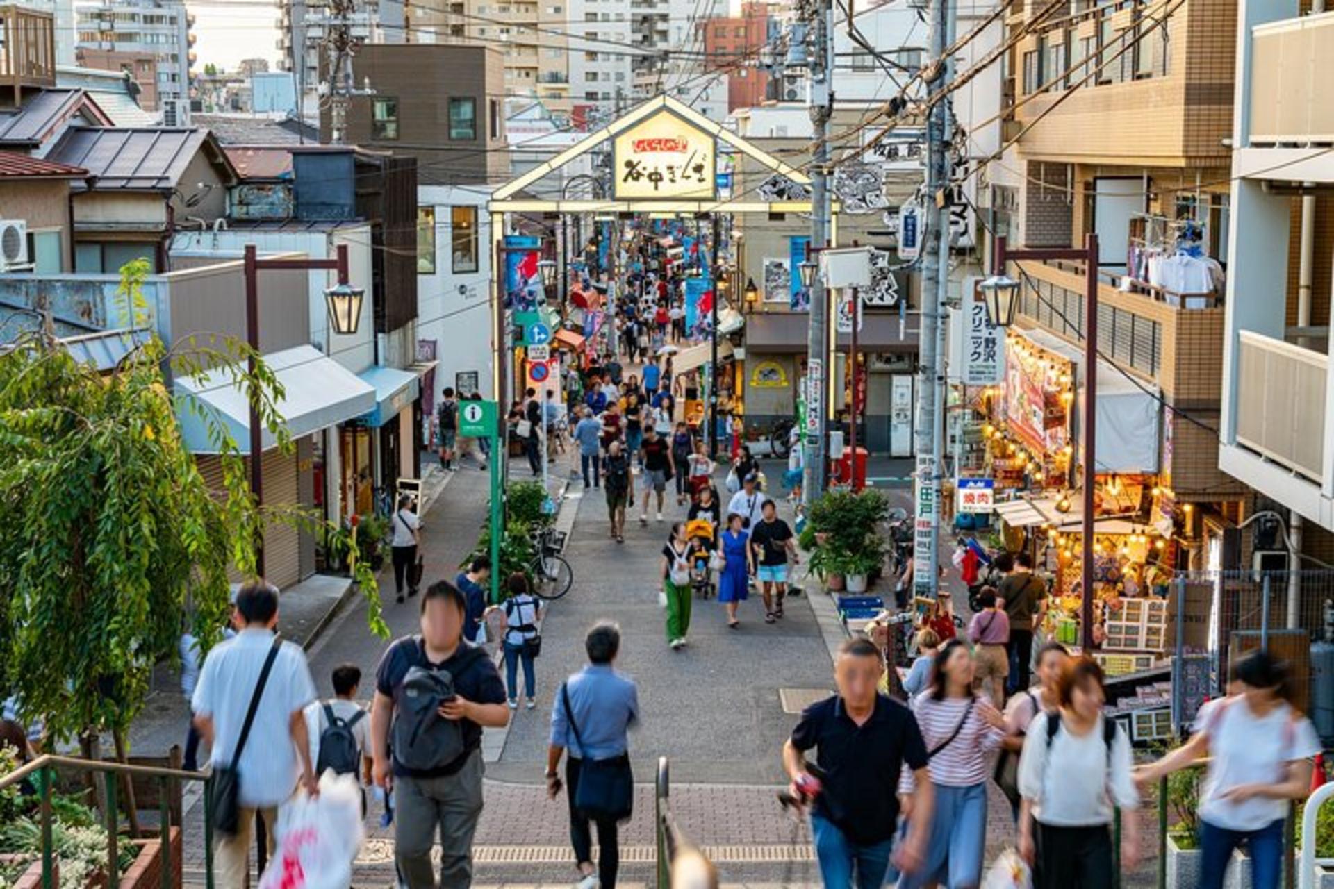 Encounter Cultural Heritage & Enjoy Yanaka Old Town (Tokyo) - Thumbnail 12