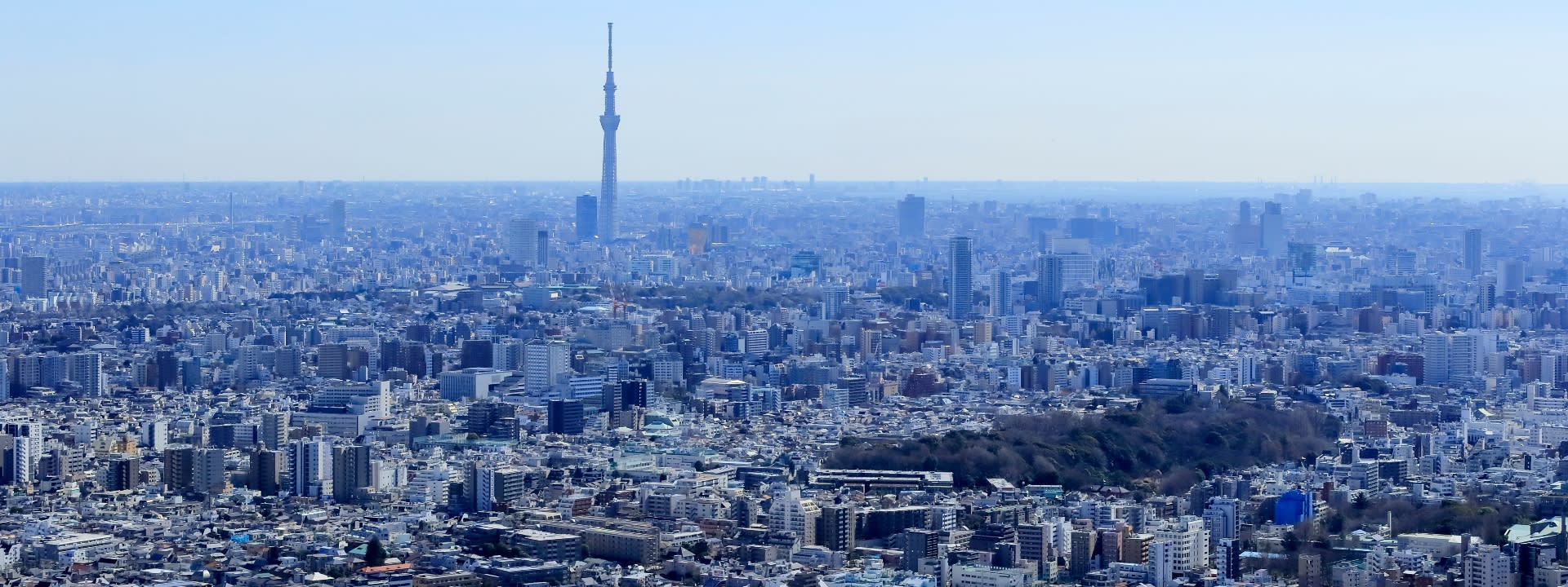 Sunshine 60 Observatory Tenbou Park Admission in Tokyo - Image 1