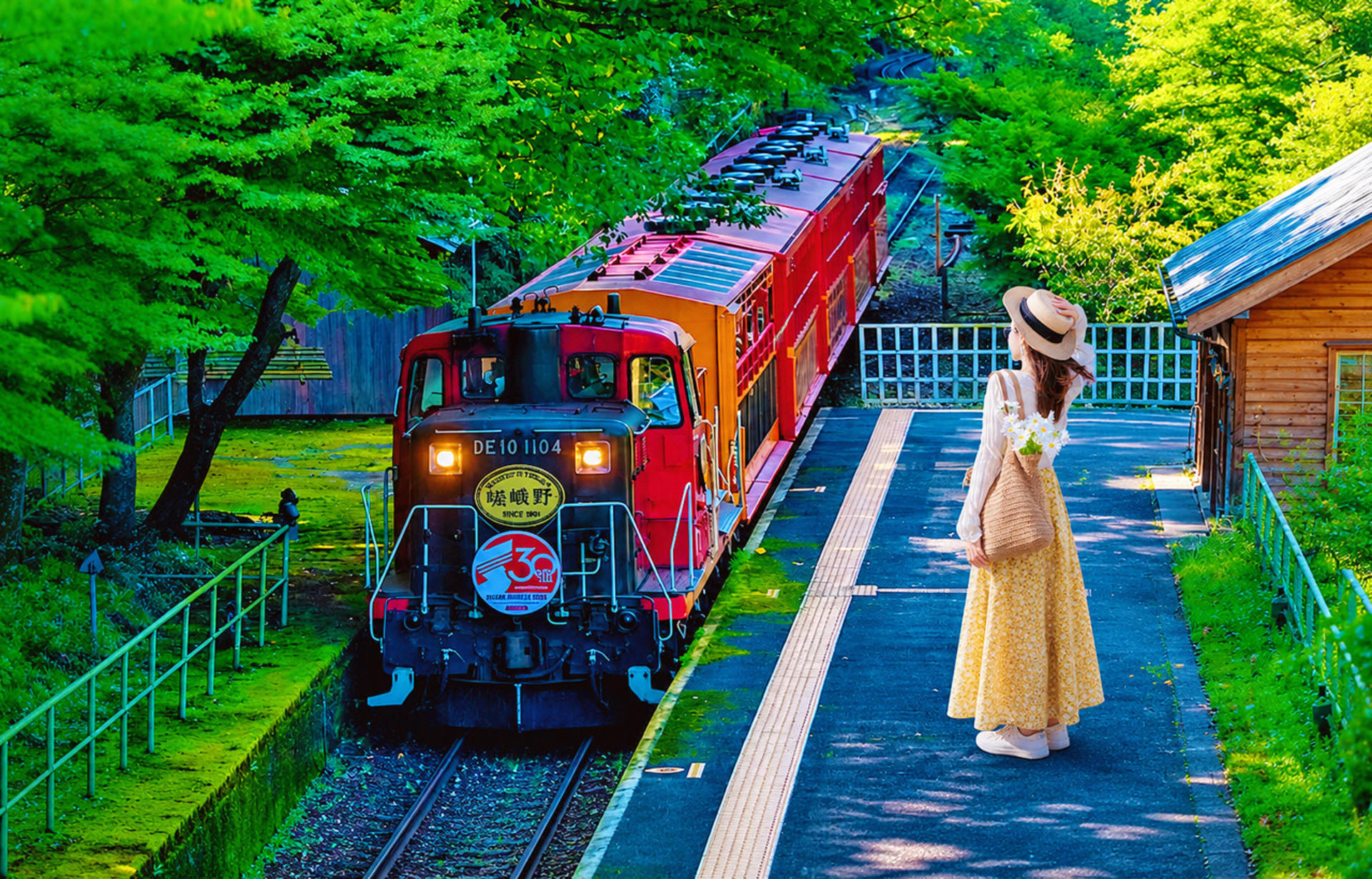 Kyoto Nara Arashiyama Day Trip | Nara Park Deer Feeding & Fushimi Inari Shrine's Thousand Torii Gates & Arashiyama Scenic Railway & Bamboo Forest Path | Kyoto or Osaka Drop-off - Image 1