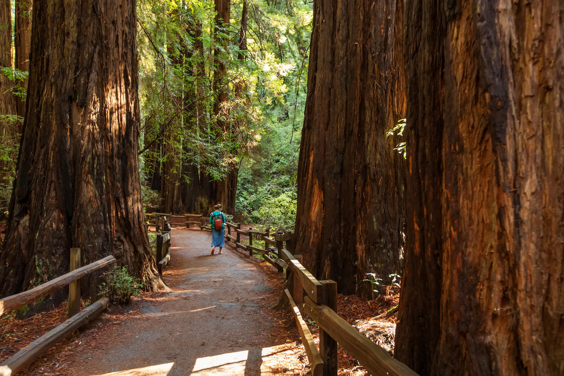 Muir Woods, Sonoma and Napa Wine Country Day Tour from San Francisco - Thumbnail 9