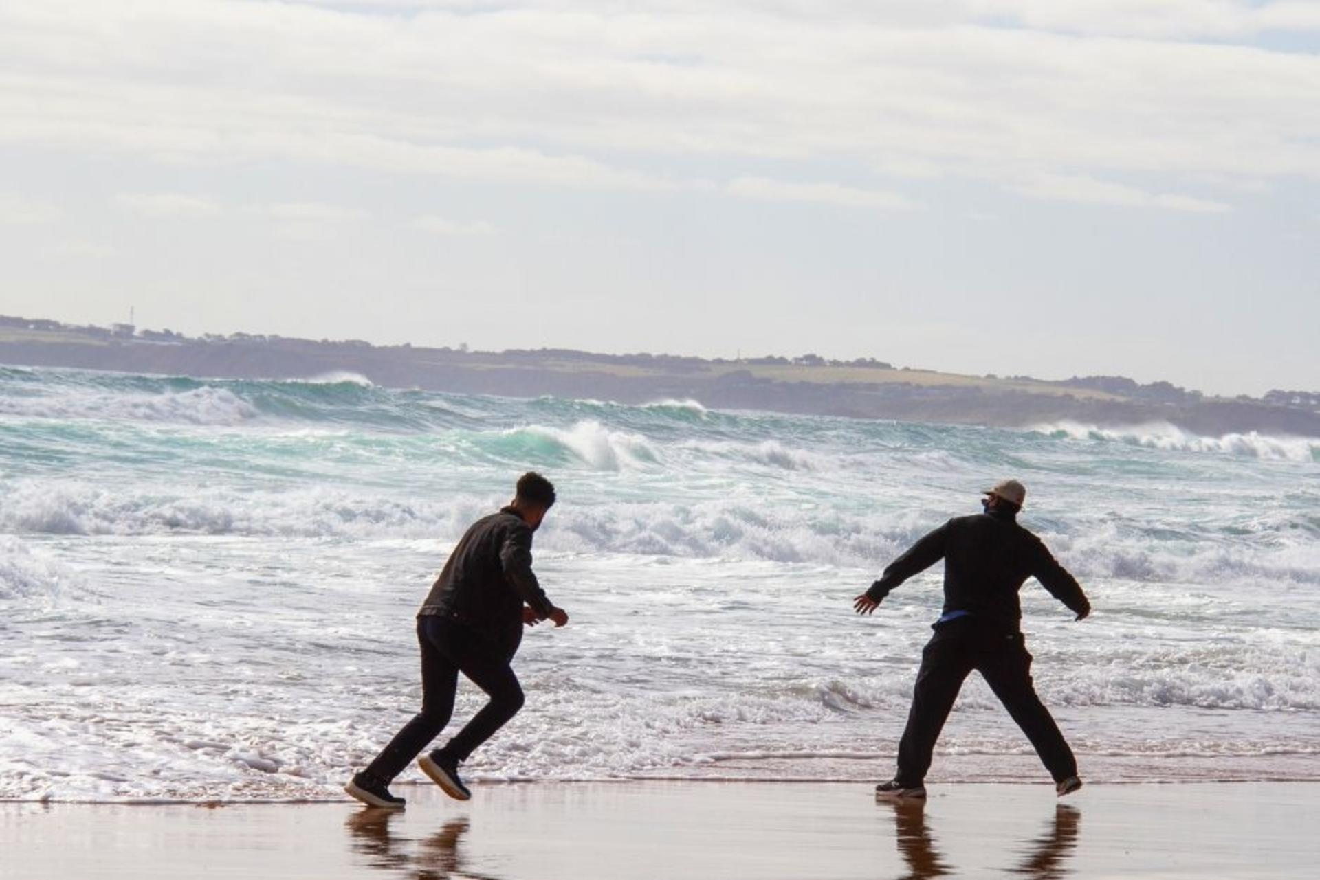 Phillip Island & Penguin Parade Afternoon Eco Tour - Thumbnail 9