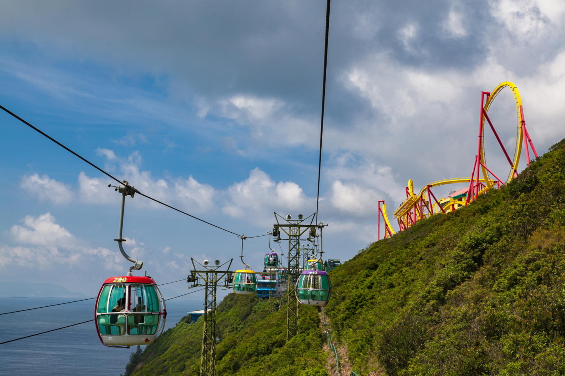 Ocean Park Full-Day Adventure with Transfers & Tickets - Thumbnail 3
