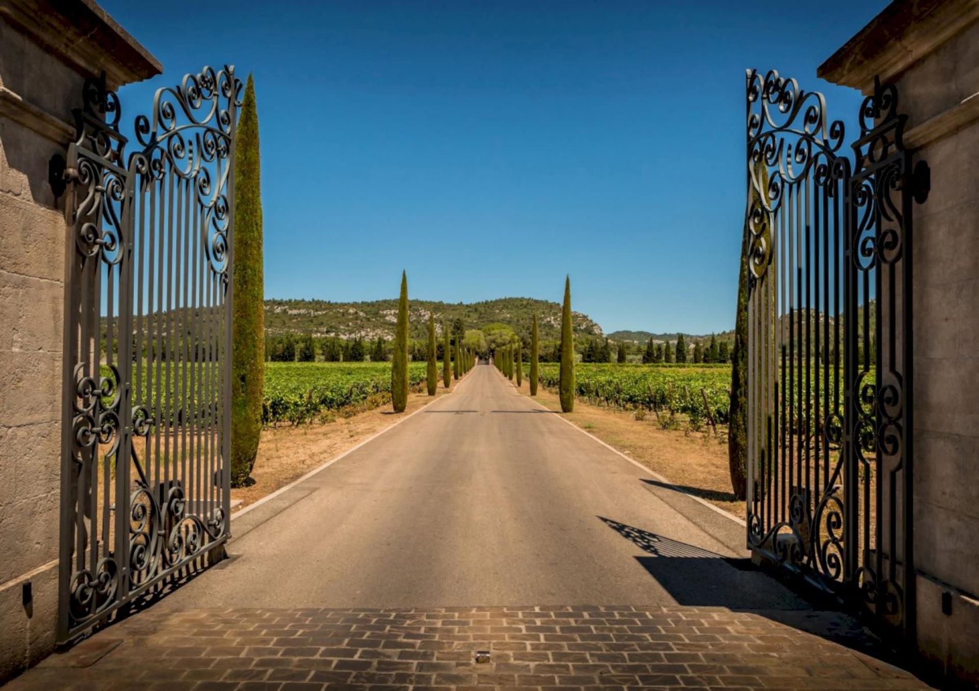 Provence Half Day Wine Tour from Aix en Provence - Thumbnail 4