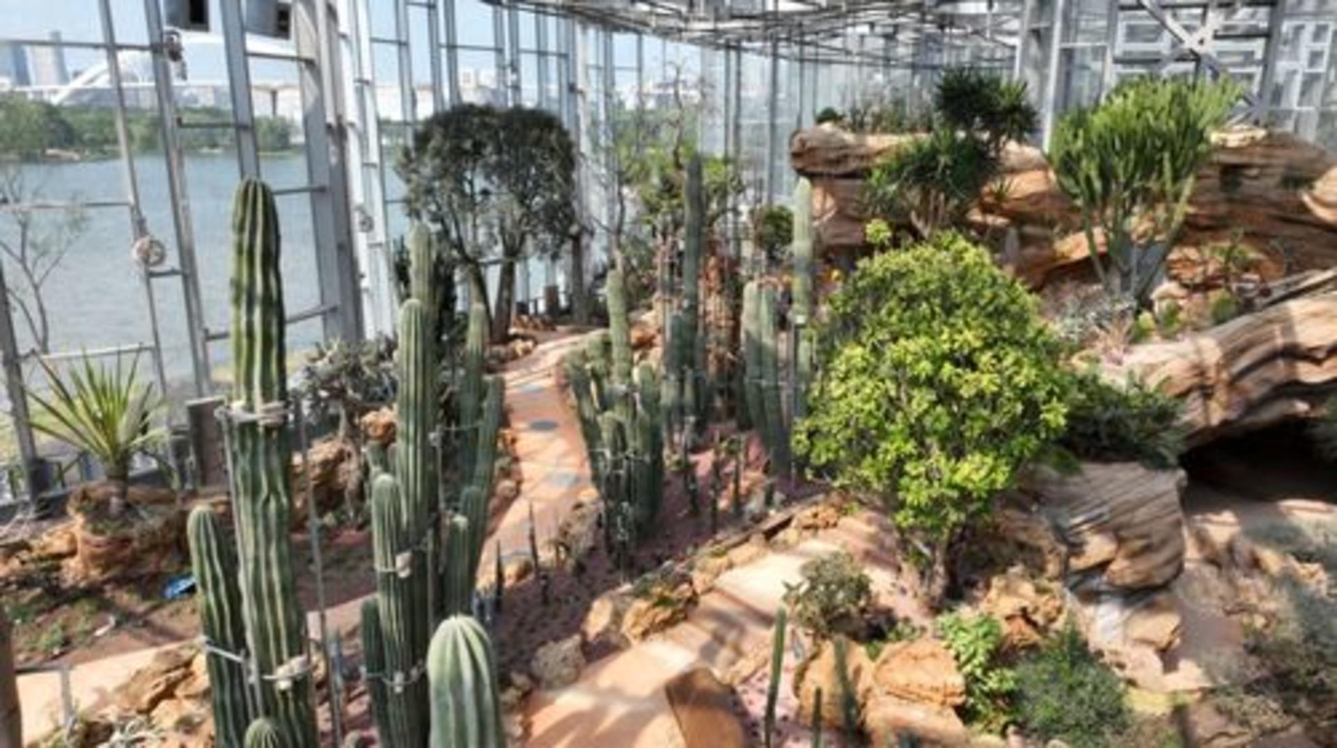 Shanghai Greenhouse Garden - Thumbnail 2
