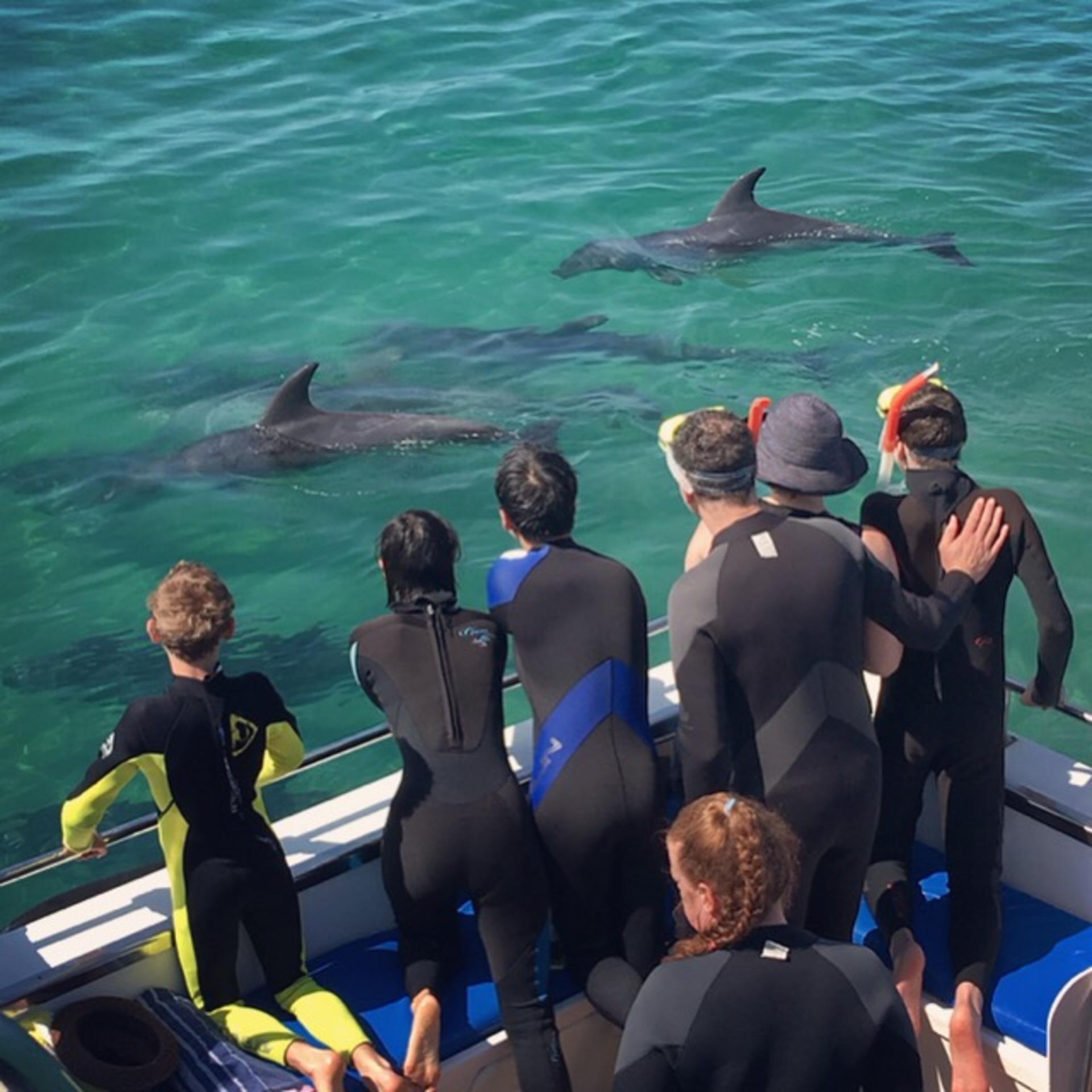 1.5 hour Scenic and Wildlife Adventure Cruise - Thumbnail 7