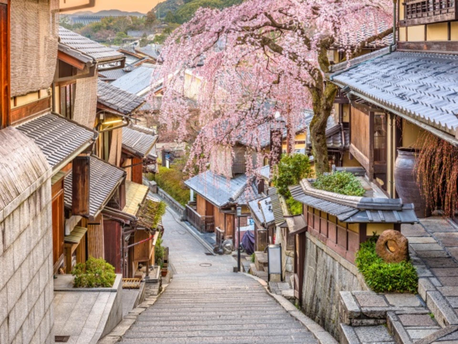 Classic Deep Dive: Kyoto's Japanese Style and Ancient Charm Day Trip - Thumbnail 6