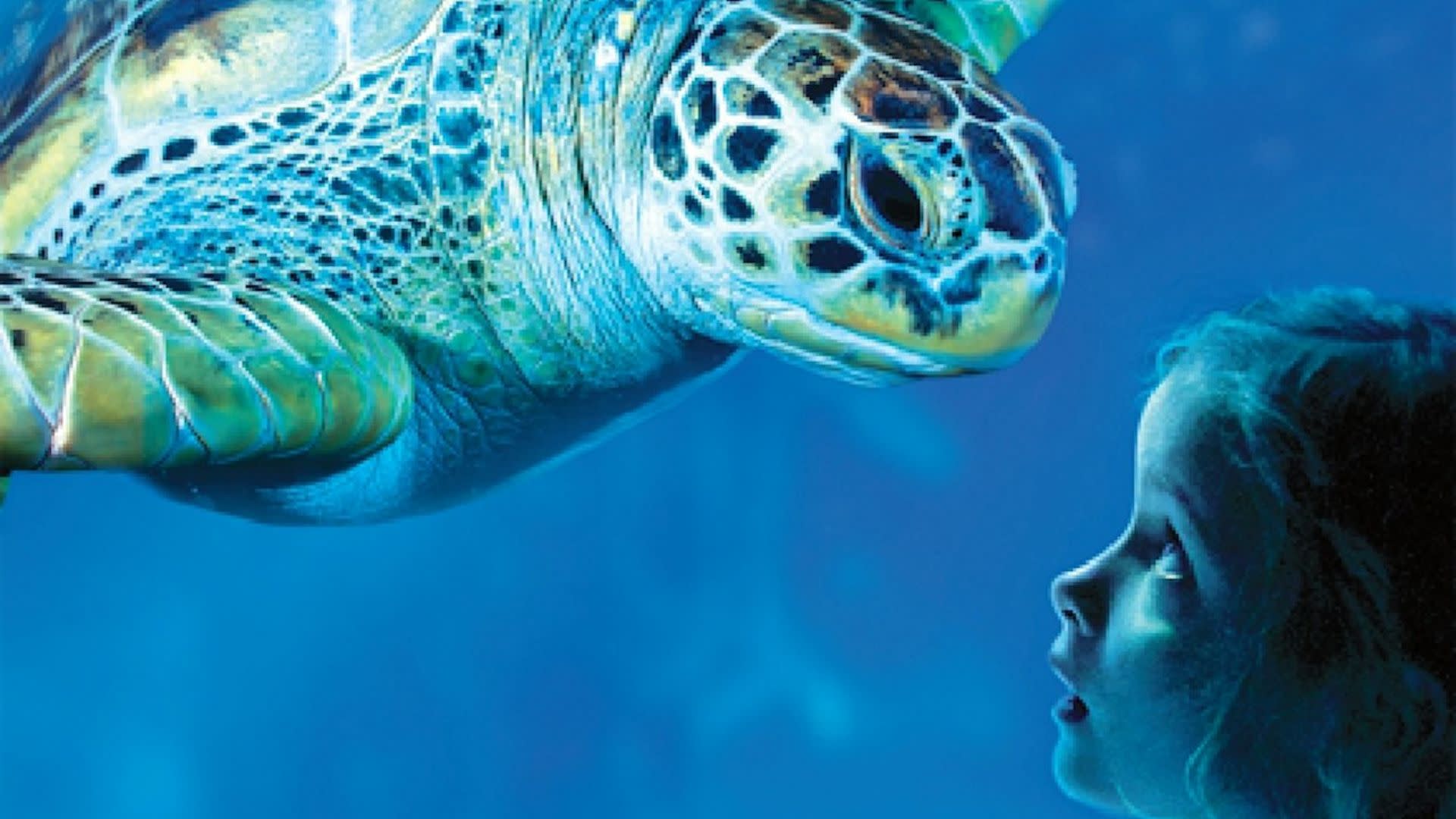 Sea Life Benalmadena Ticket - Thumbnail 3