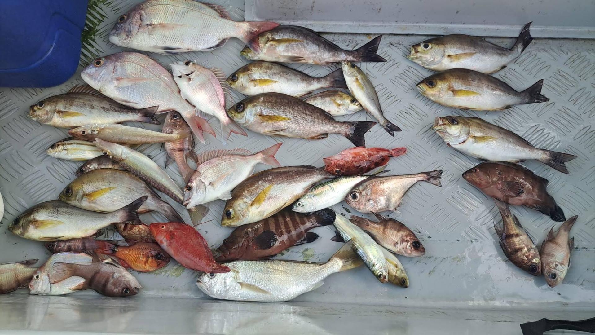 Ji Son Fishing Hong Kong Water Private Boat Fishing Group - Thumbnail 4