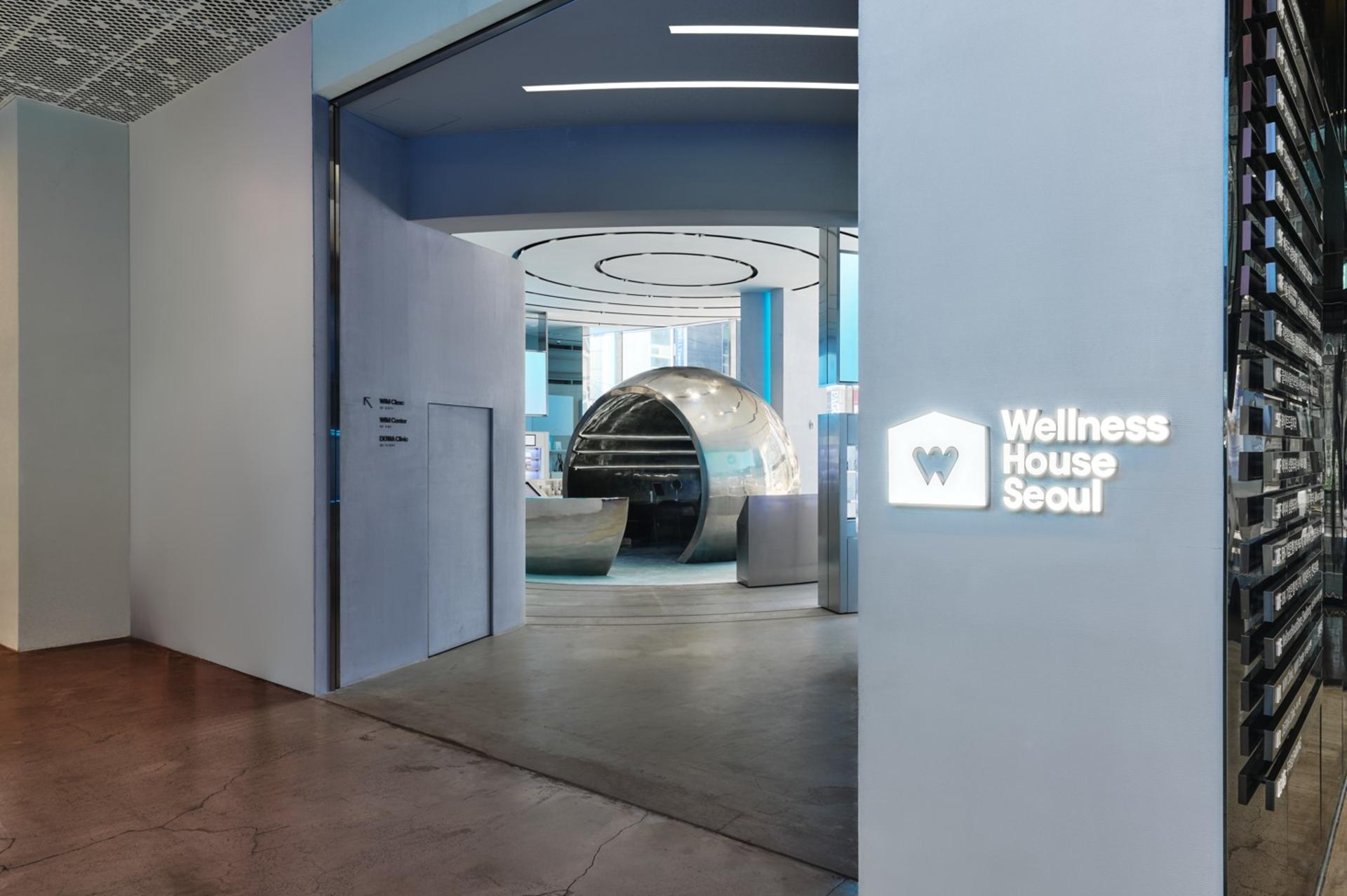 WELLNESS HOUSE SEOUL Discount Voucher & Free Skin Diagnosis Experience - Thumbnail 8
