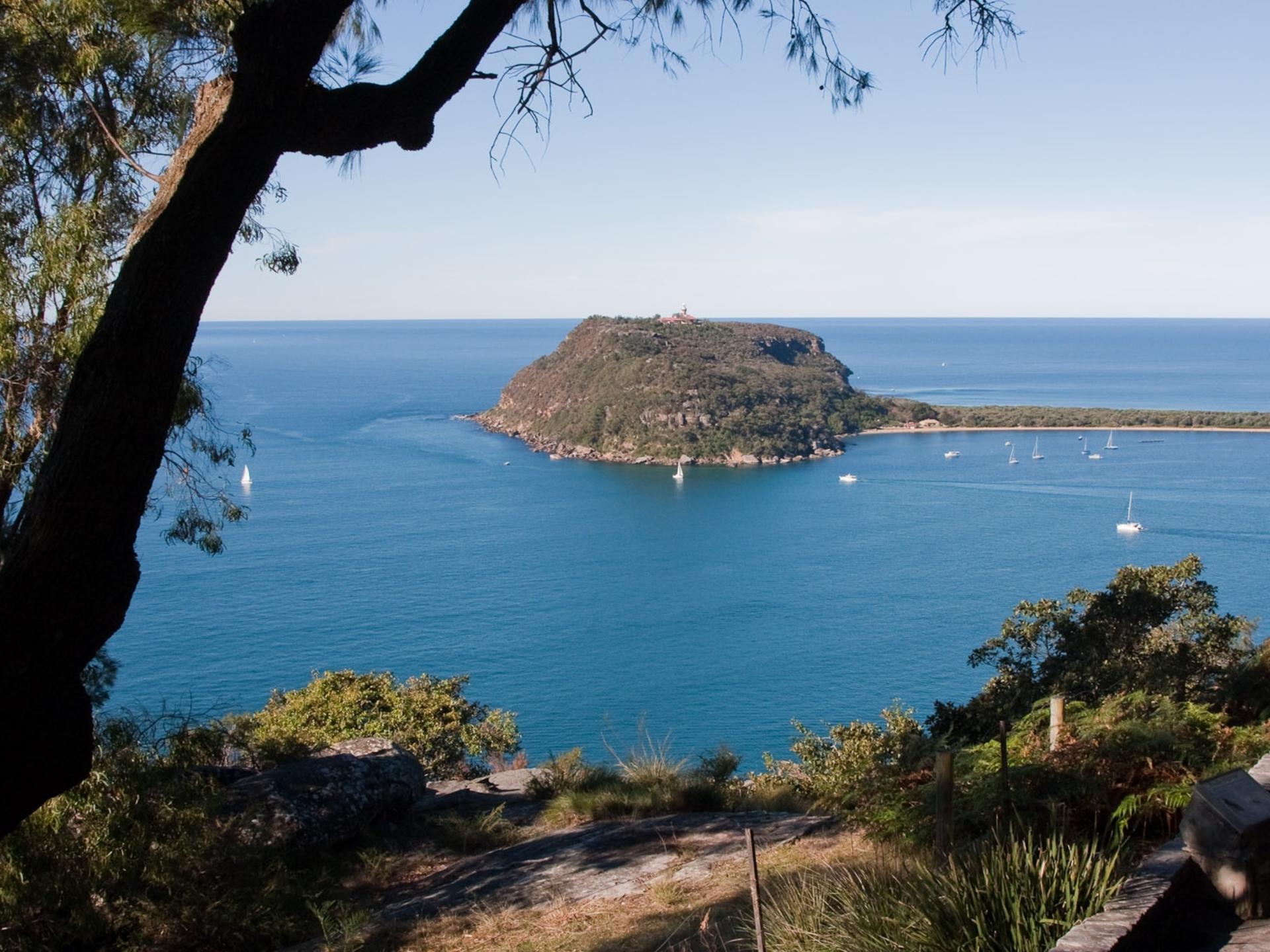 Sydney Northern Wilderness and Coastal Tour - Thumbnail 9