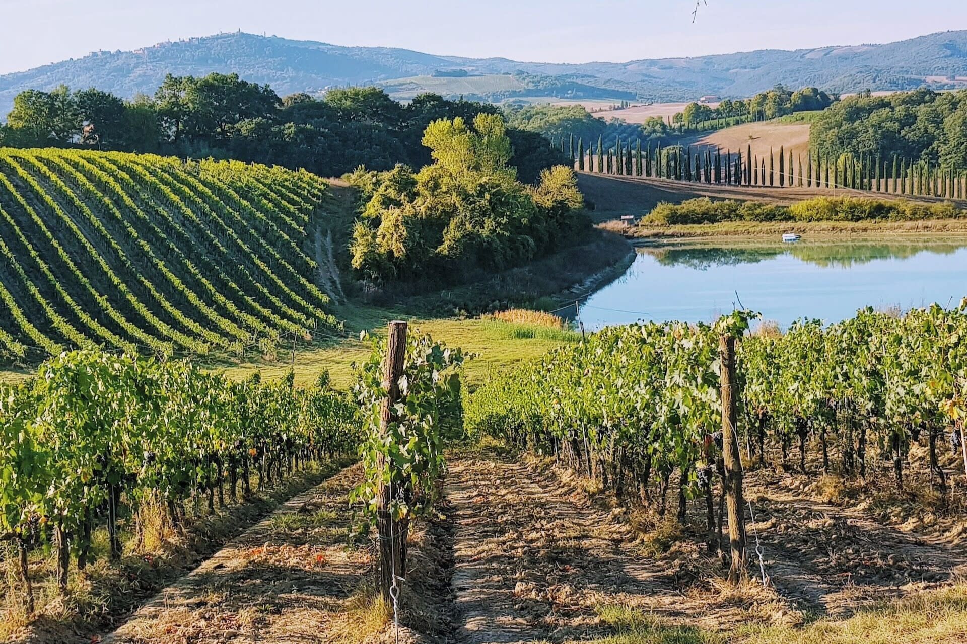 Chianti Sunset Wine Tasting Experience from Florence - Thumbnail 7