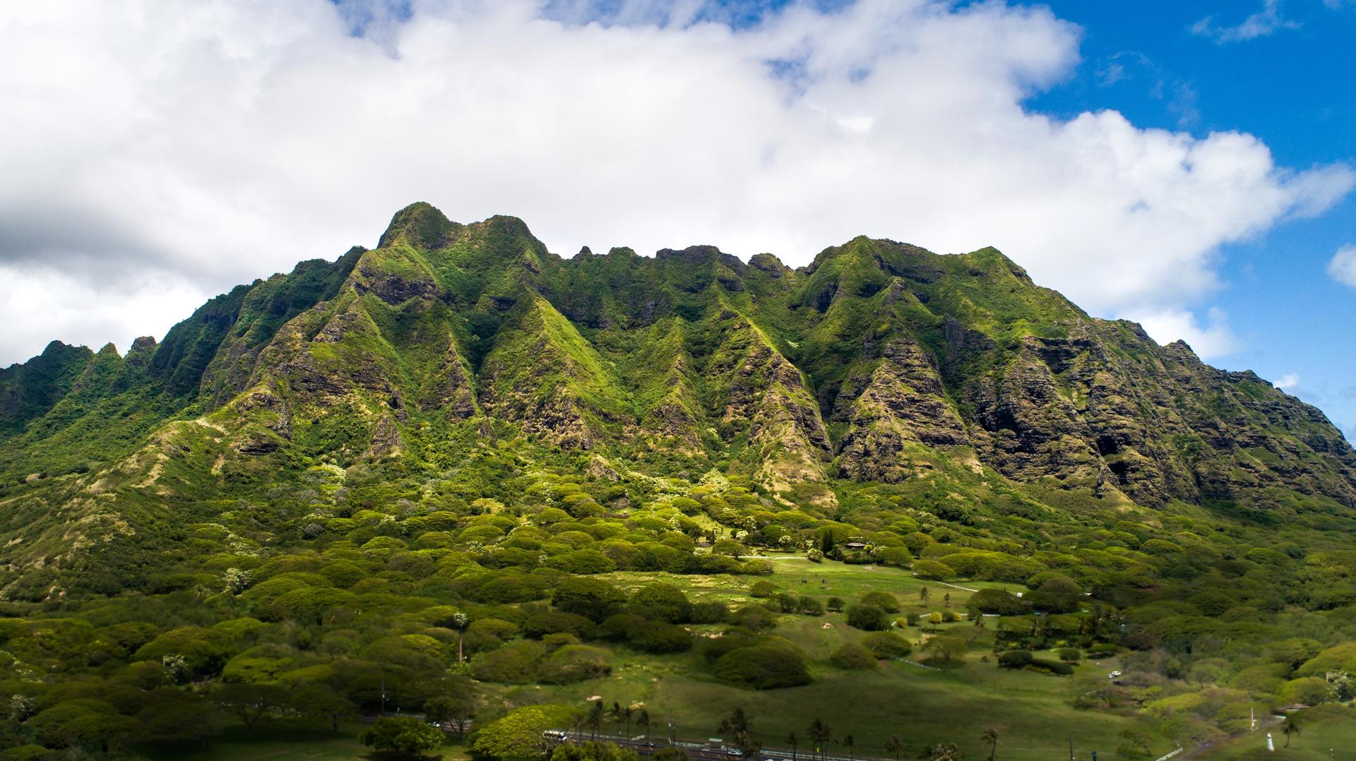 Oahu Circle Island Tour with Malasadas and Garlic Shrimp - Thumbnail 9
