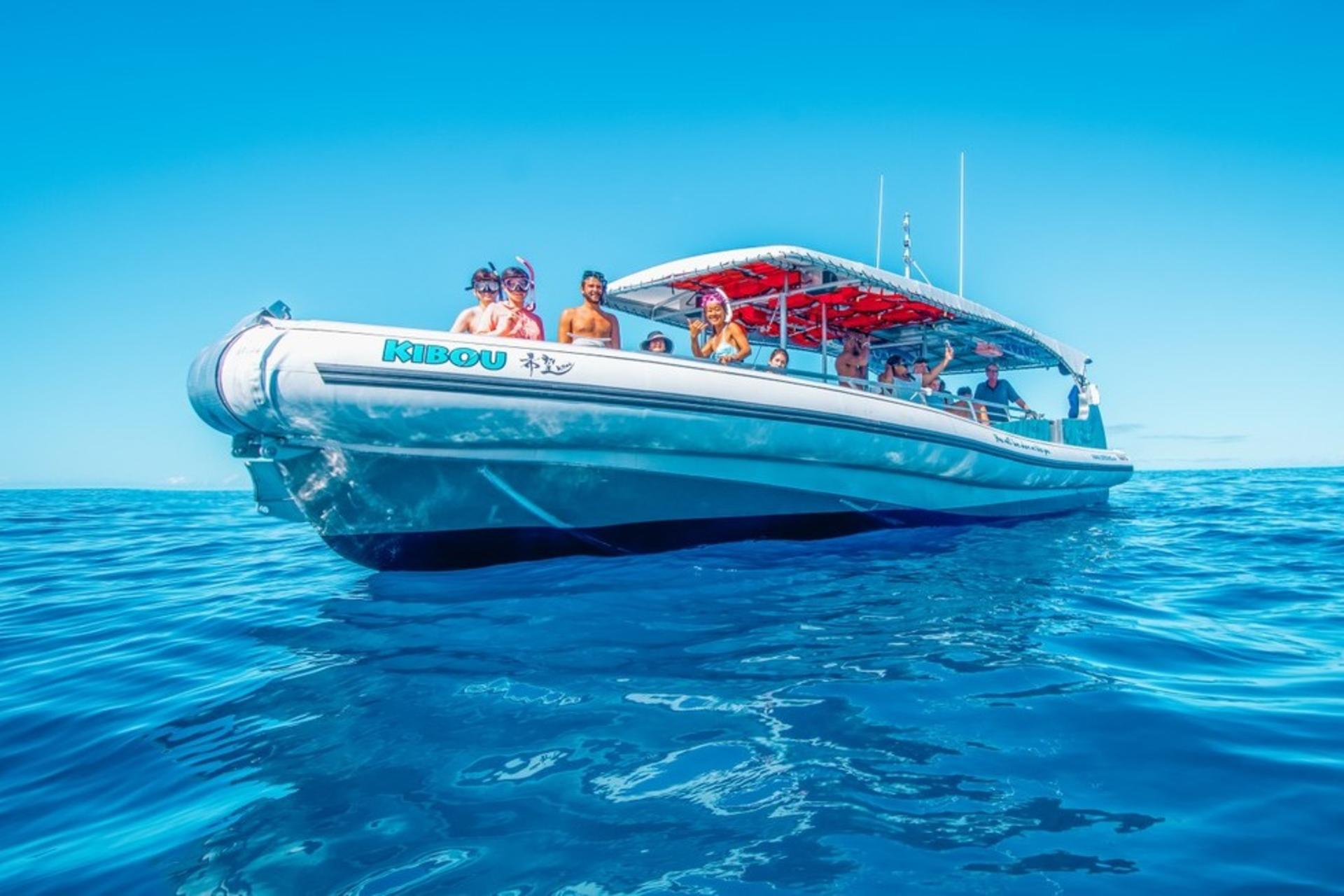 Kona Afternoon Snorkel and Dolphin Watching Cruise - Thumbnail 2