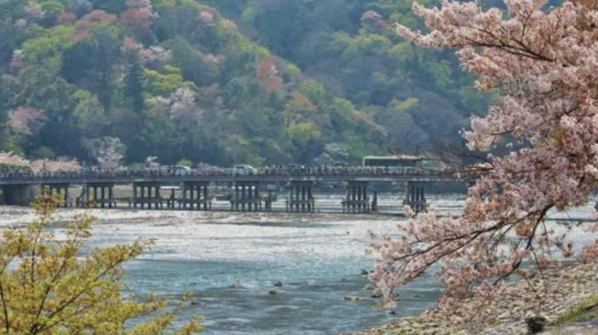 Kyoto: Arashiyama Unveiled – Bamboo, Temple, Matcha, Monkeys - Thumbnail 16