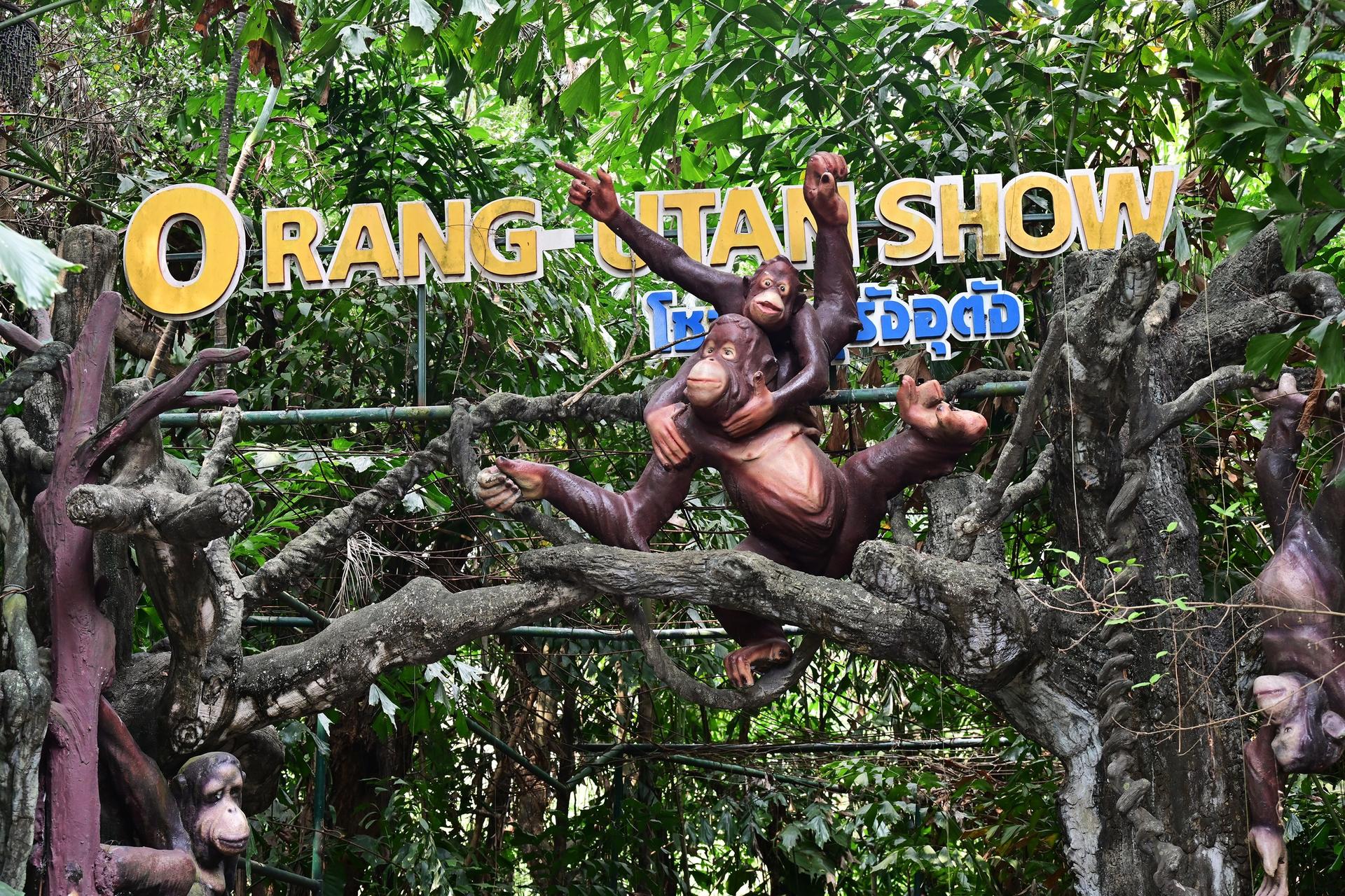 Private Bangkok Safari World, B Story Garden, and Huamum Market Tour - Image 1