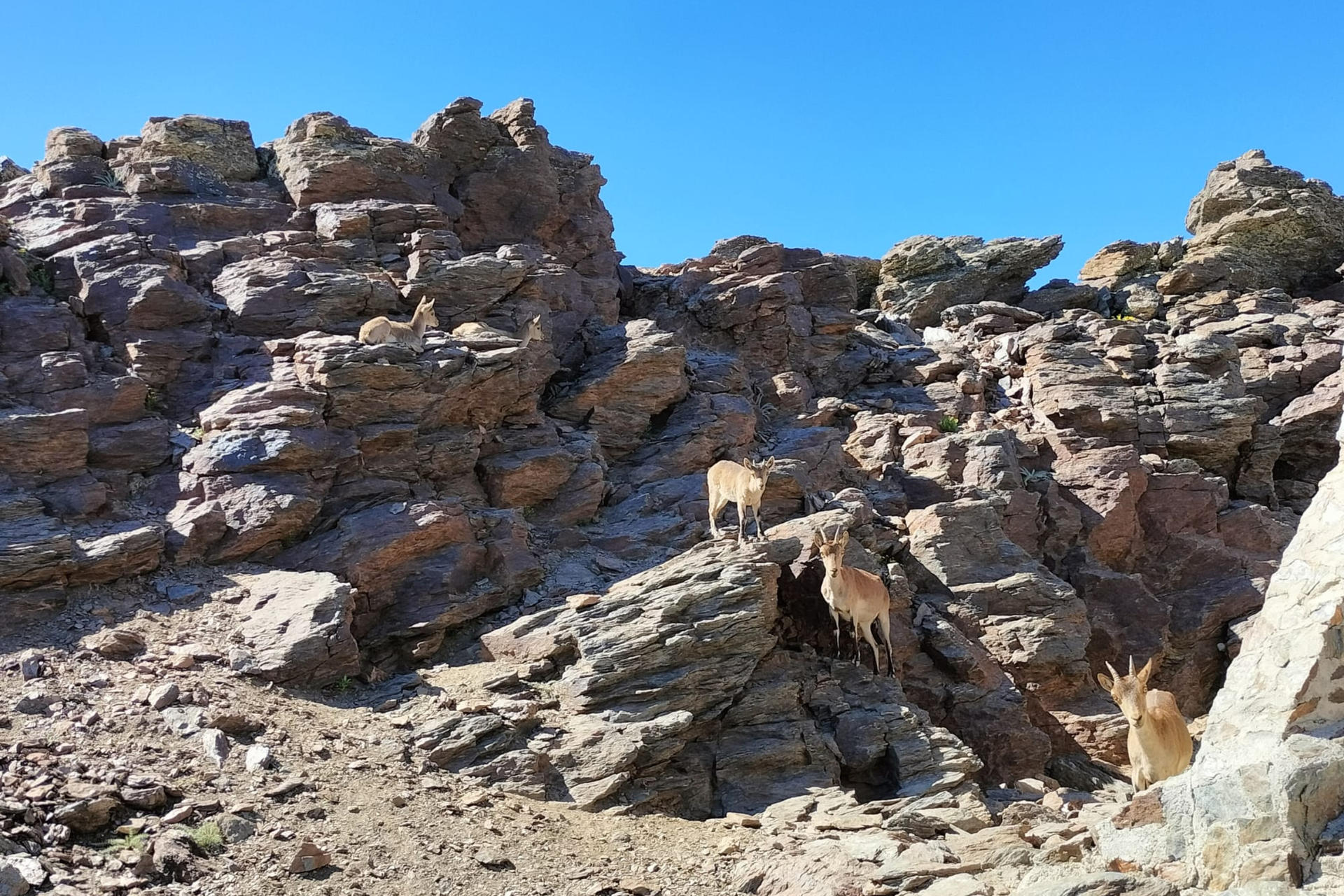 Sierra Nevada One Day Tour from Granada - Thumbnail 4