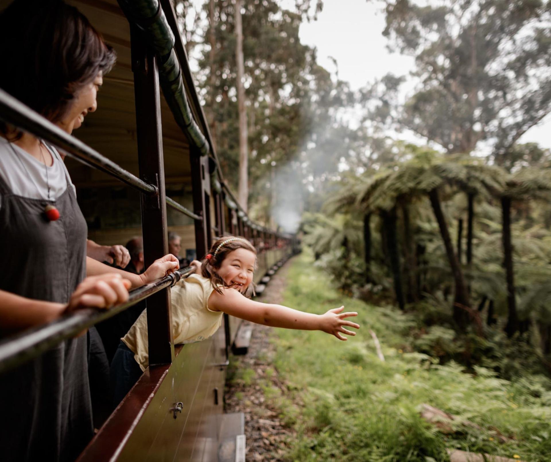 Puffing Billy Half Day Steam Train Tour - Thumbnail 7