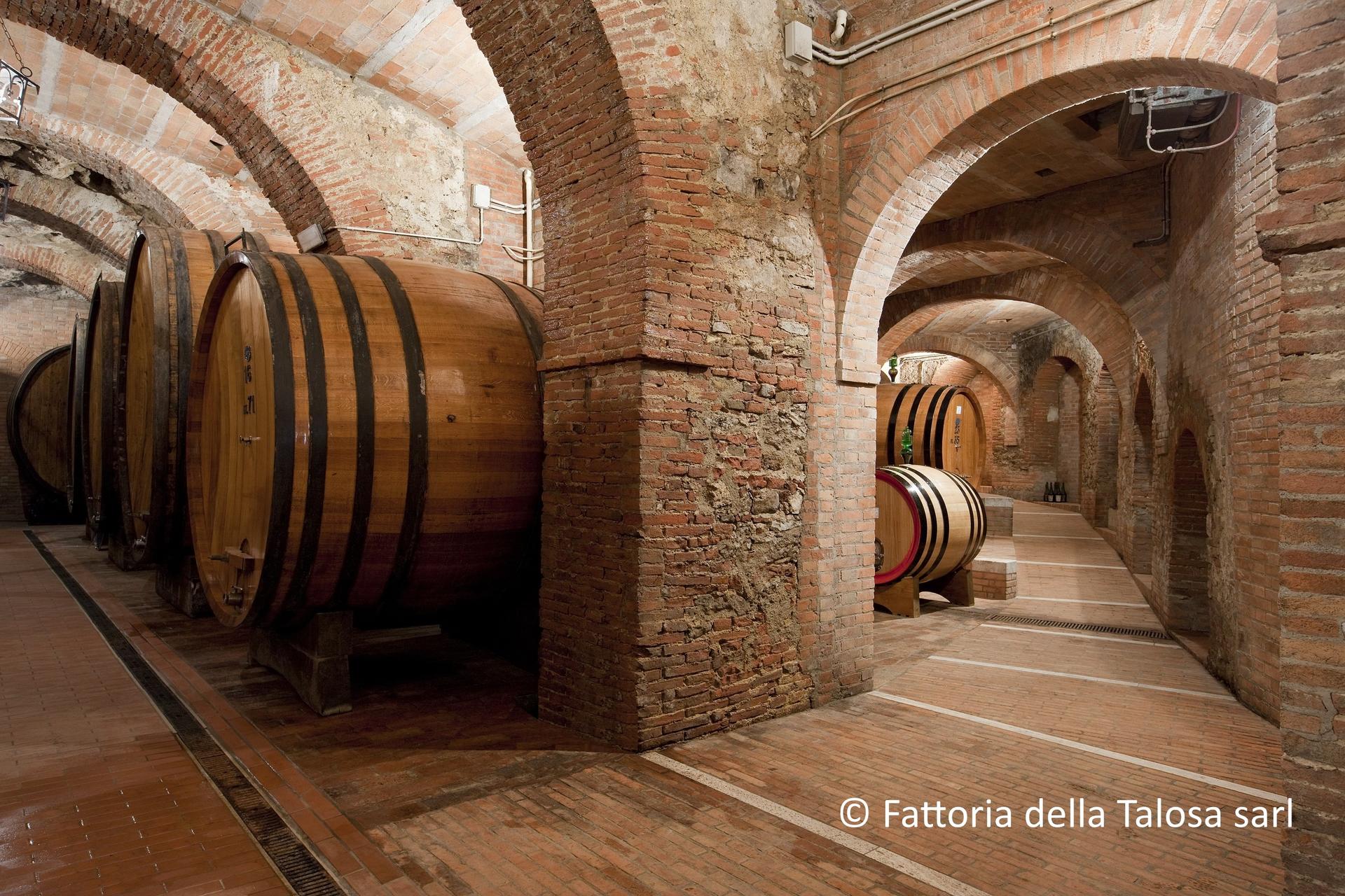 Wine tasting tour in Montepulciano with lunch in wine cellar - Thumbnail 4