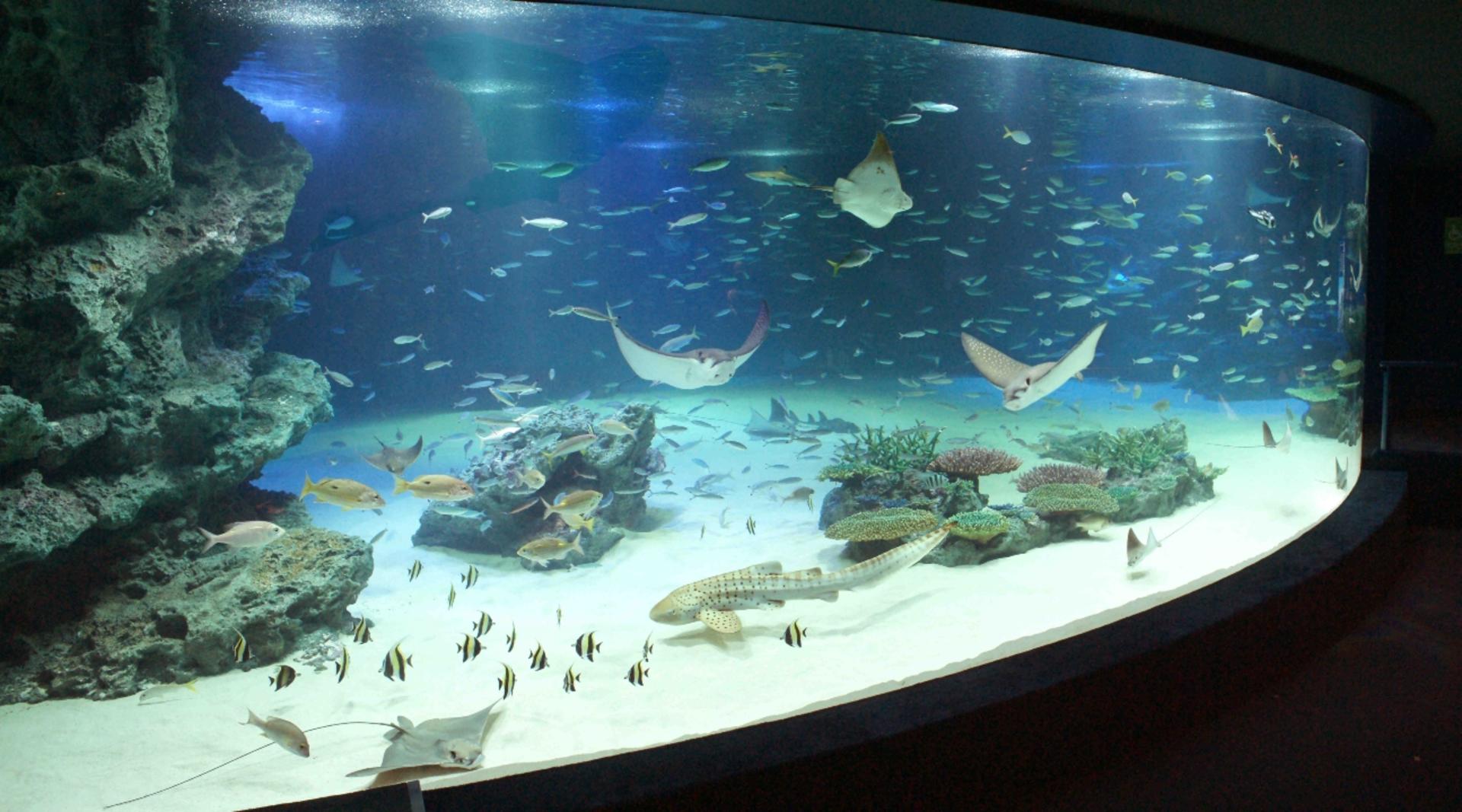 Sunshine Aquarium Ticket in Tokyo - Thumbnail 2