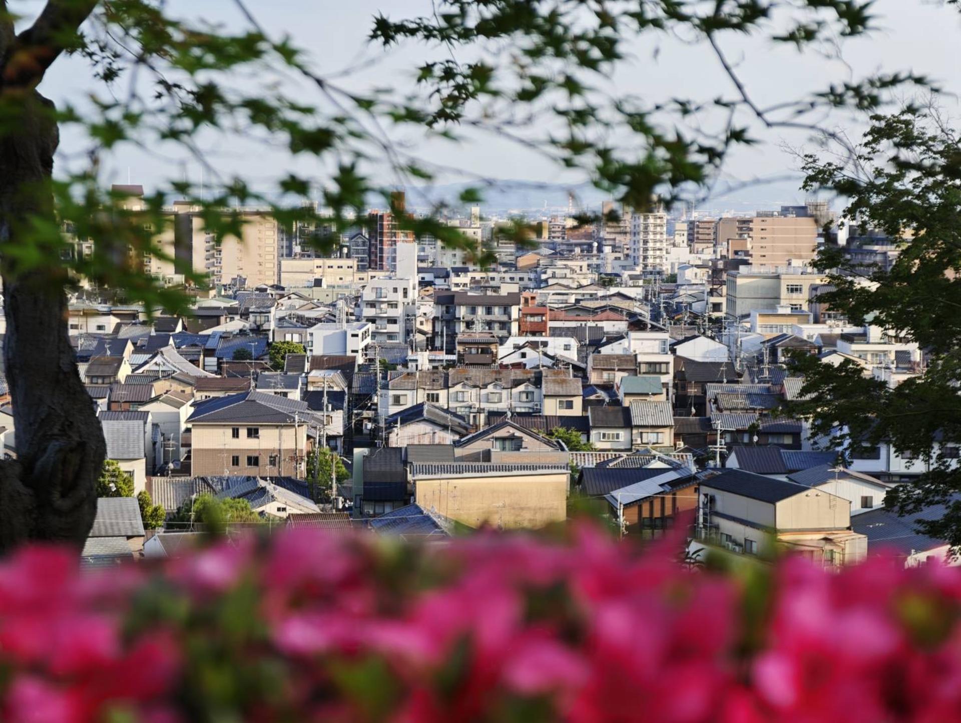Kyoto After-Dark Yokai & Shrine Small Group Walking Tour - Thumbnail 19