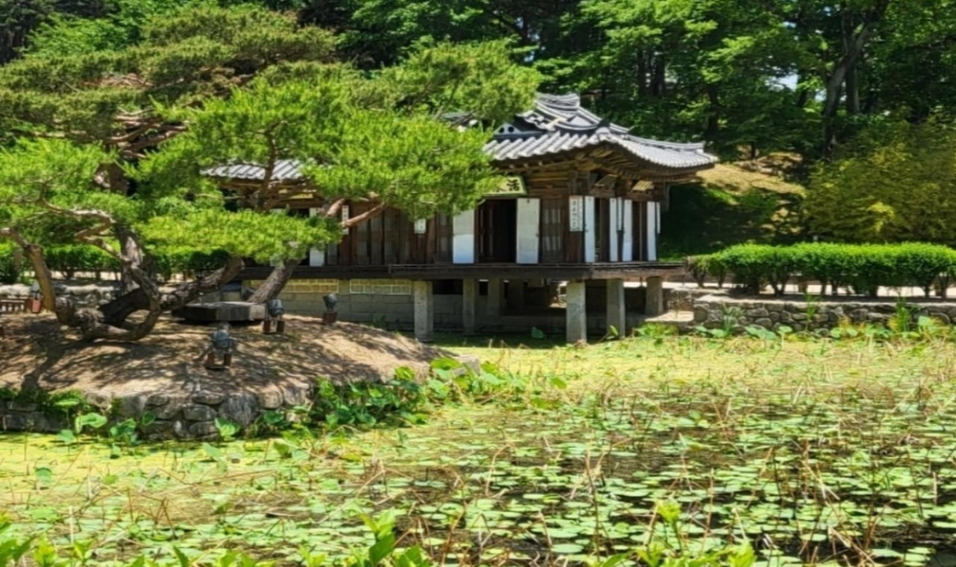 Gangneung Starlight Tour from Seoul - Thumbnail 2