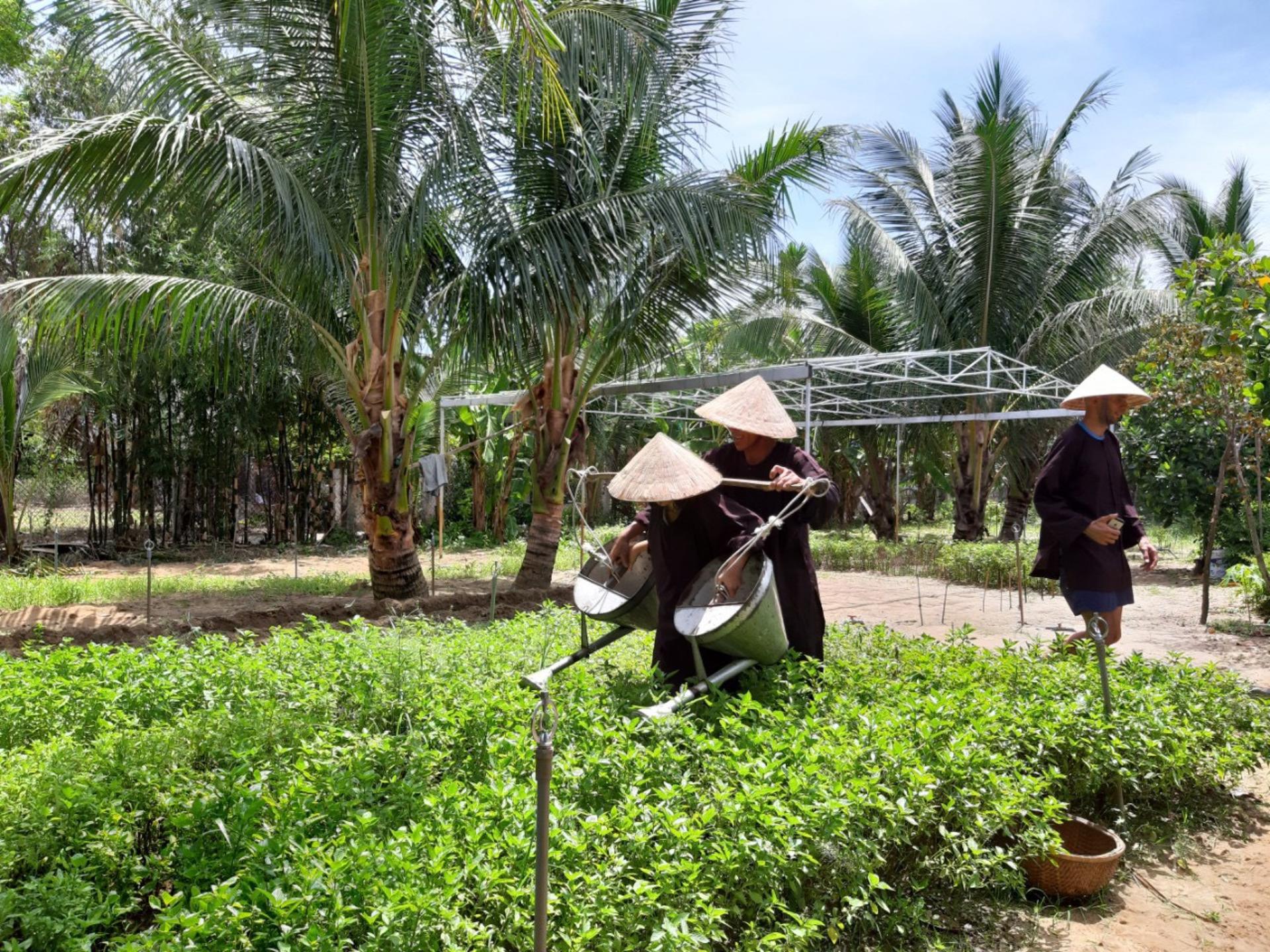Tra Que Vegetable Village and Cooking Class Experience in Hoi An - Thumbnail 3