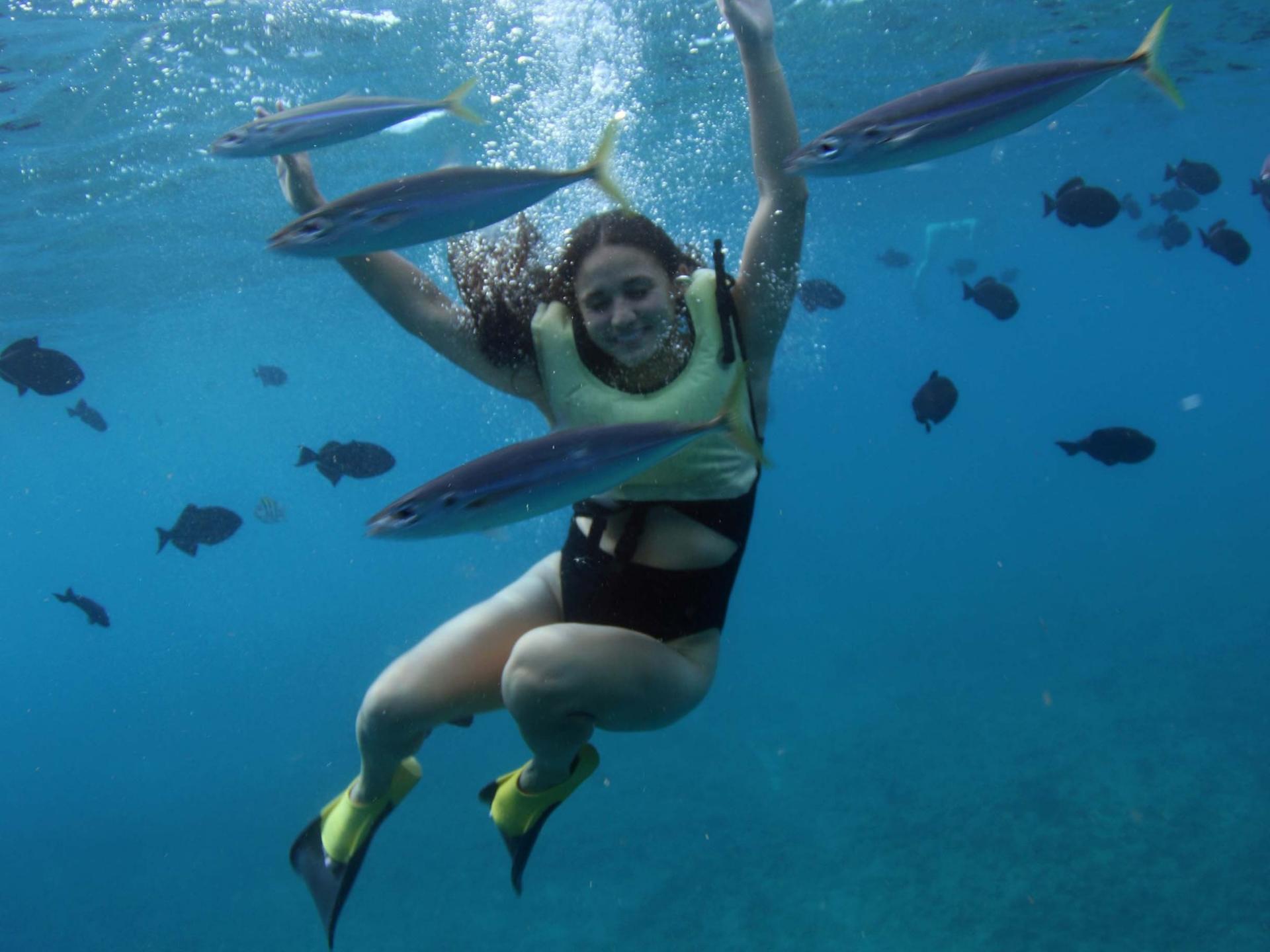 Luxury Sunset Snorkel Cruise with Dolphin Watch in Ko Olina - Thumbnail 23