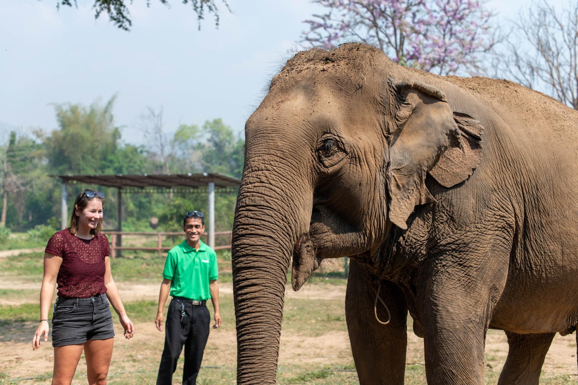 Elephant Sanctuary & Erawan Waterfall Full Day Tour from Bangkok - Image 1