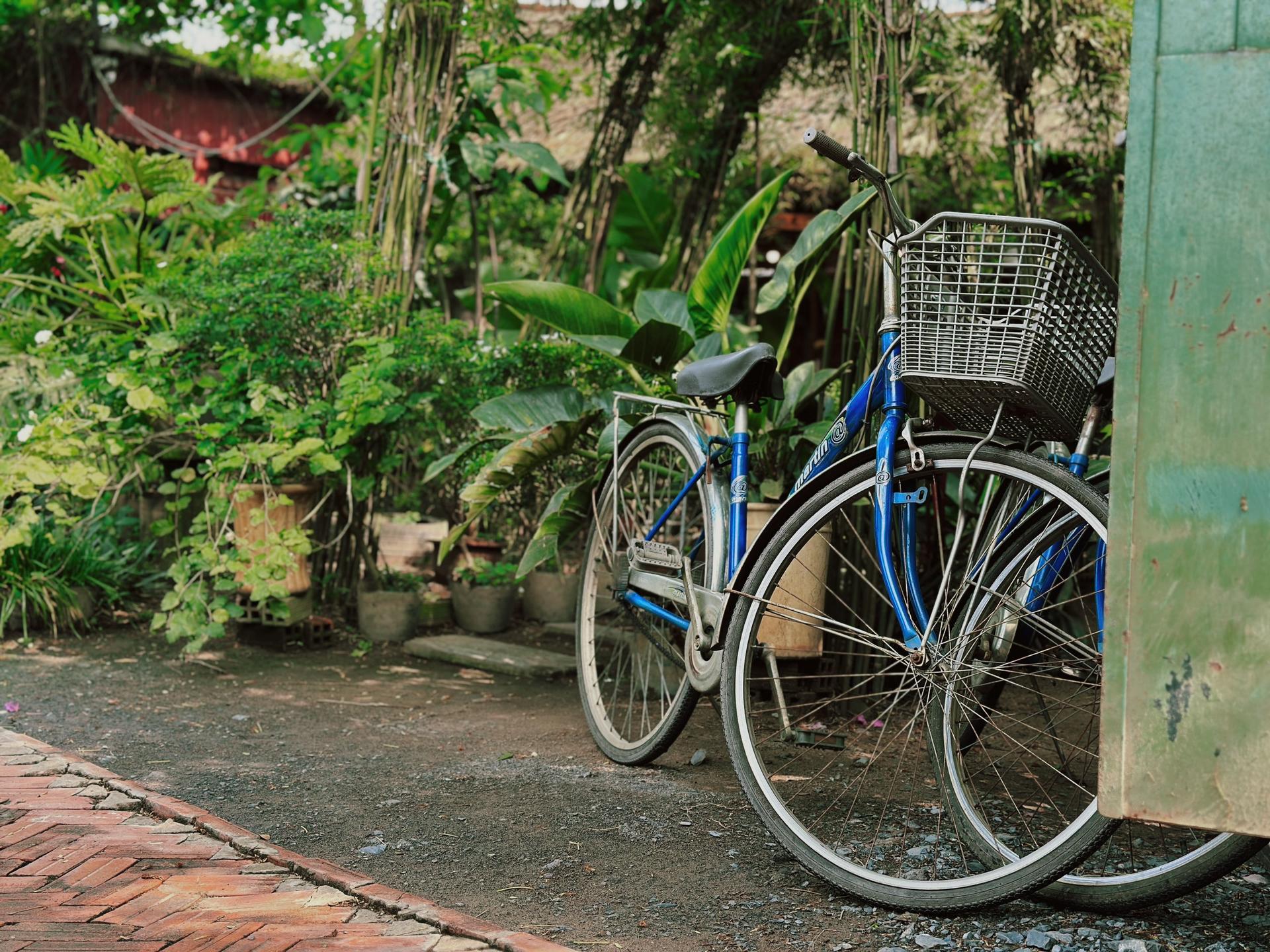 Private Farm Tour & Cooking Class in Ho Chi Minh City - Thumbnail 8