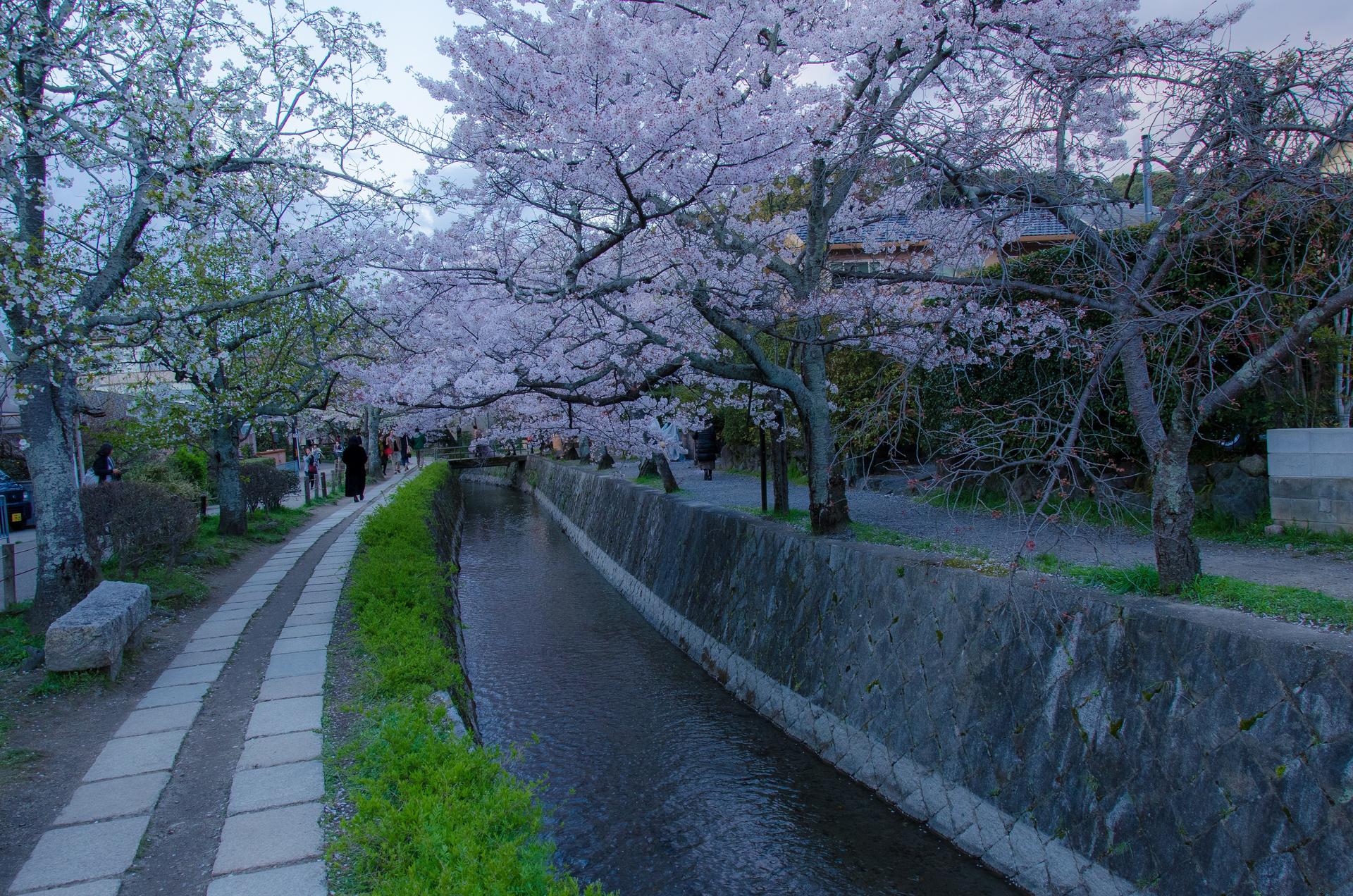 Bicycle Adventure Experience in Kyoto - Thumbnail 6