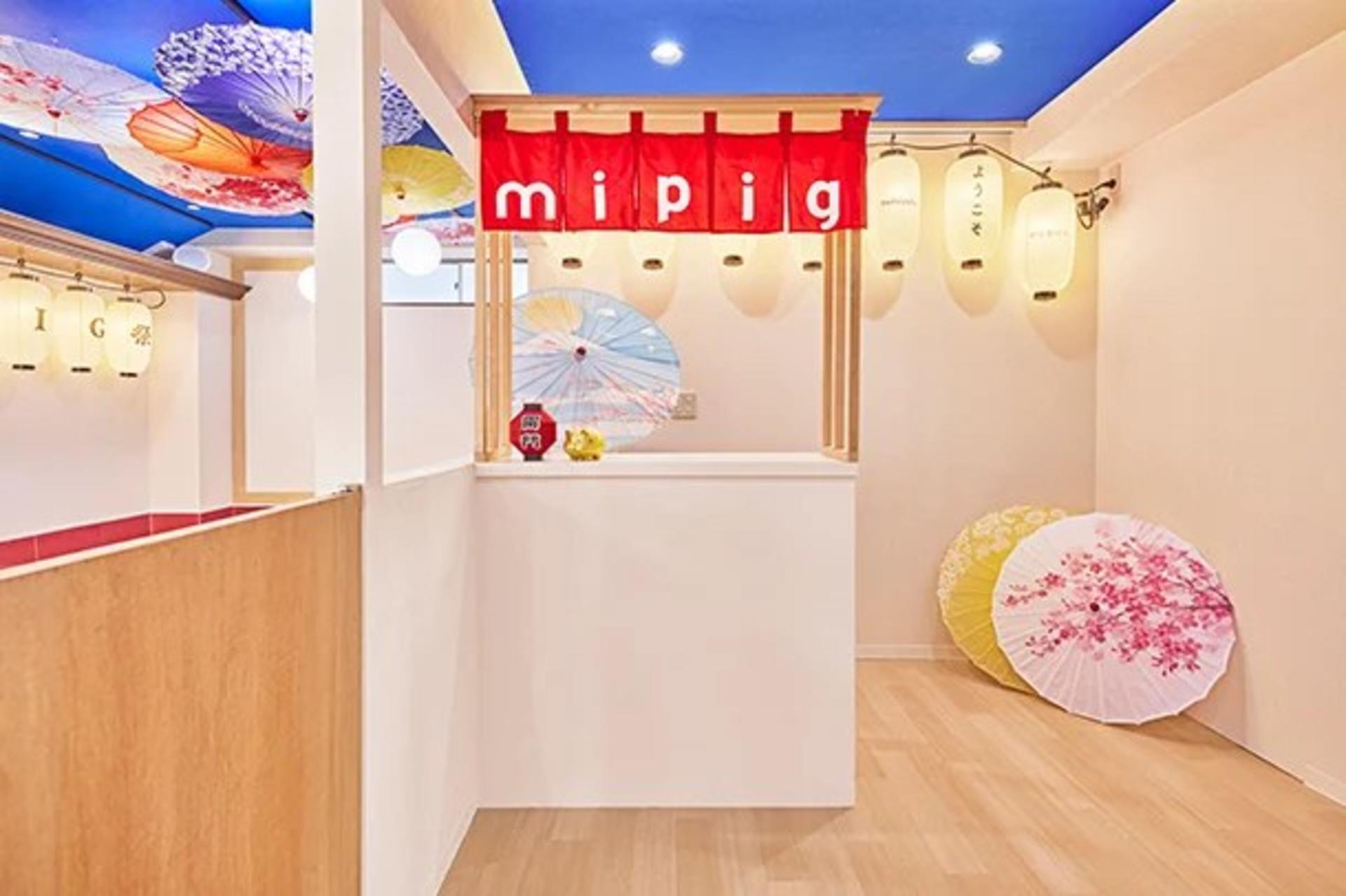 Micro Pig Cafe Experience in Aasakusa - Thumbnail 4