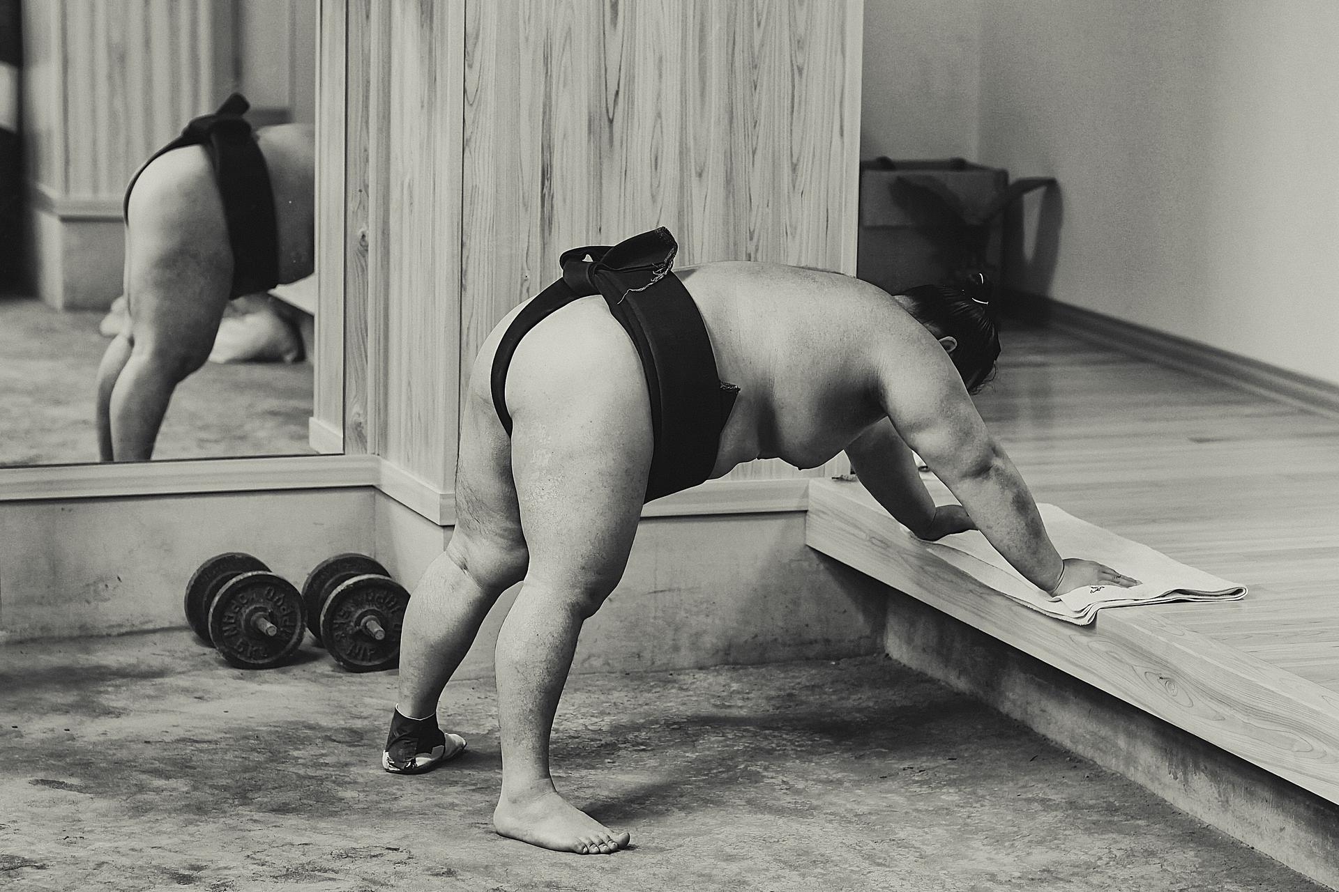 Sumo Morning Practice with Local Guide | Tokyo & More - Thumbnail 3