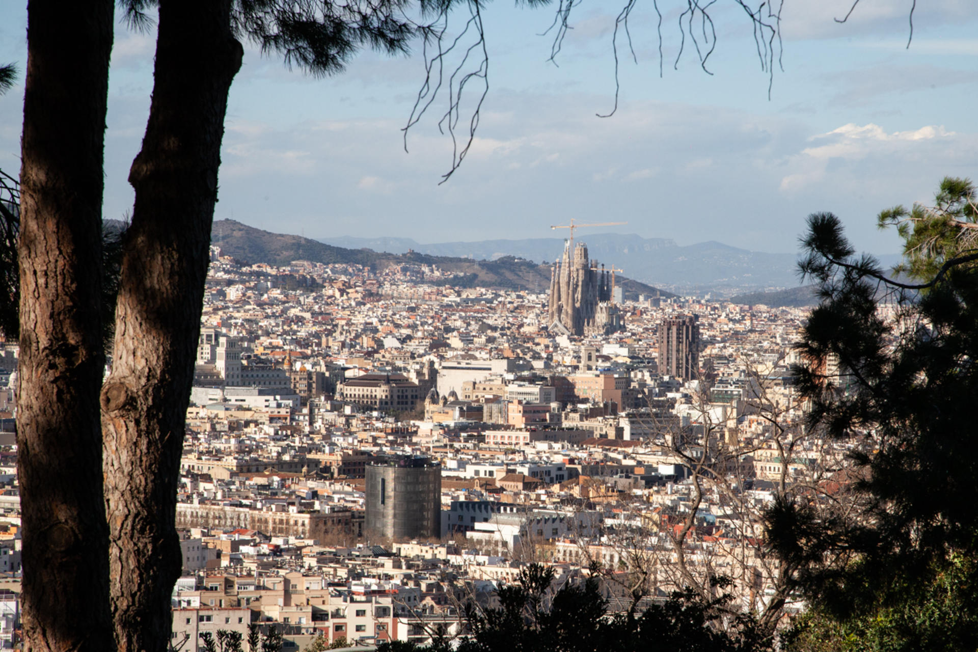 Montjuïc Walking Tour With Optional Flamenco Show - Thumbnail 3