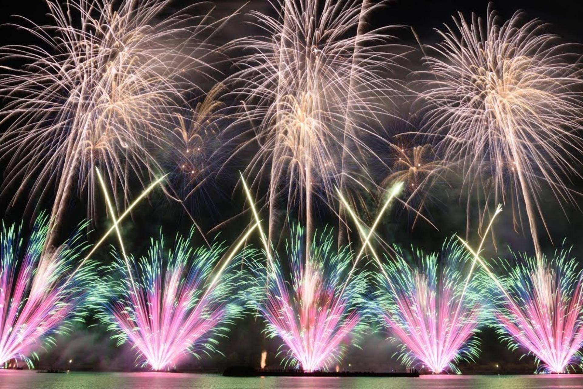 Autumn Fireworks Festival 1-Day Tour: Tsuchiura Fireworks Competition (includes admission ticket) / Kinugawa Fireworks (includes admission ticket) / Oarai Sea Fireworks / Tonegawa Fireworks - Thumbnail 16
