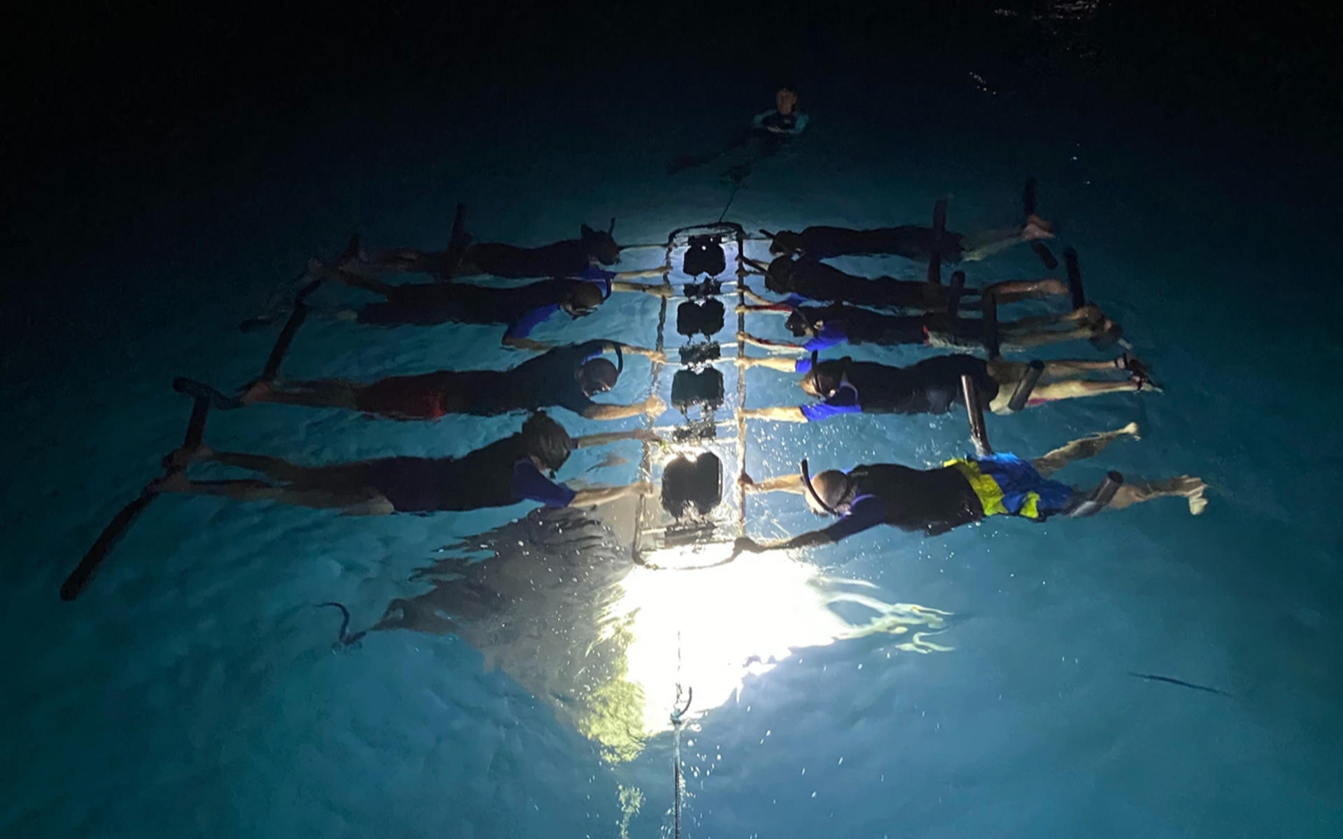 Manta Ray Snorkeling Experience in Kona - Thumbnail 2