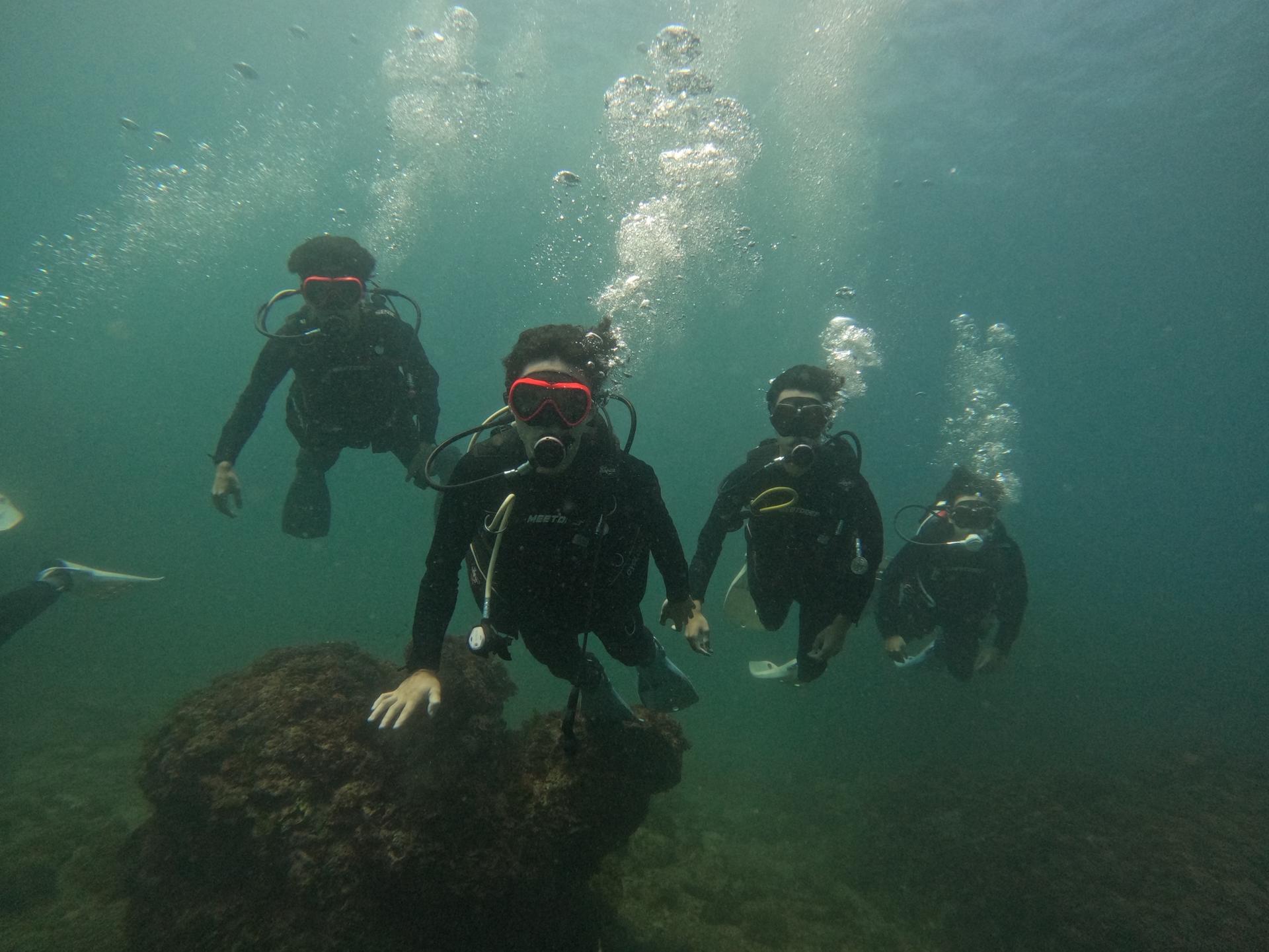 New Taipei City, Gongliao Longdong Diving Together  - Thumbnail 11