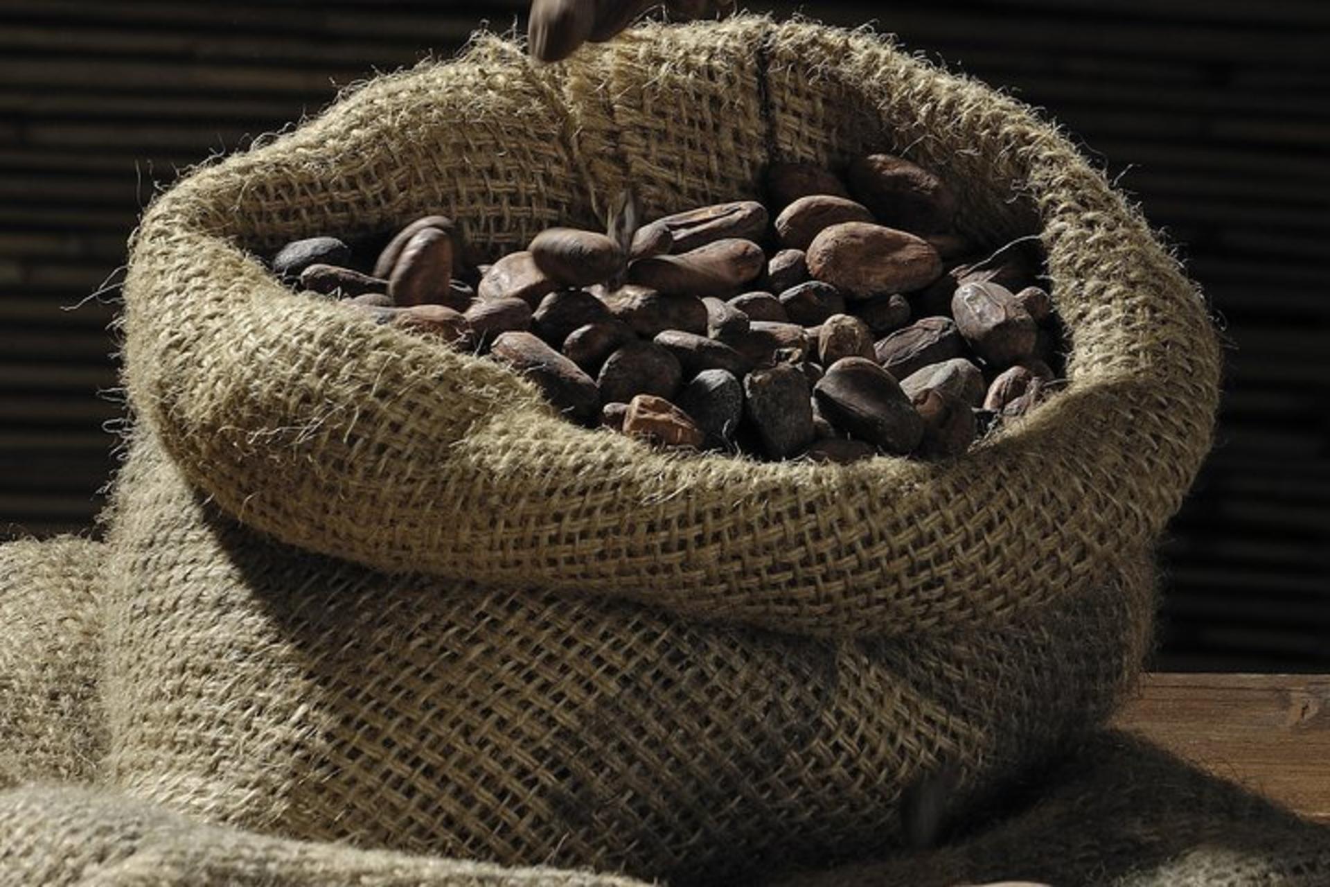 Private Dark Chocolate Tasting Tour in Paris - Thumbnail 4