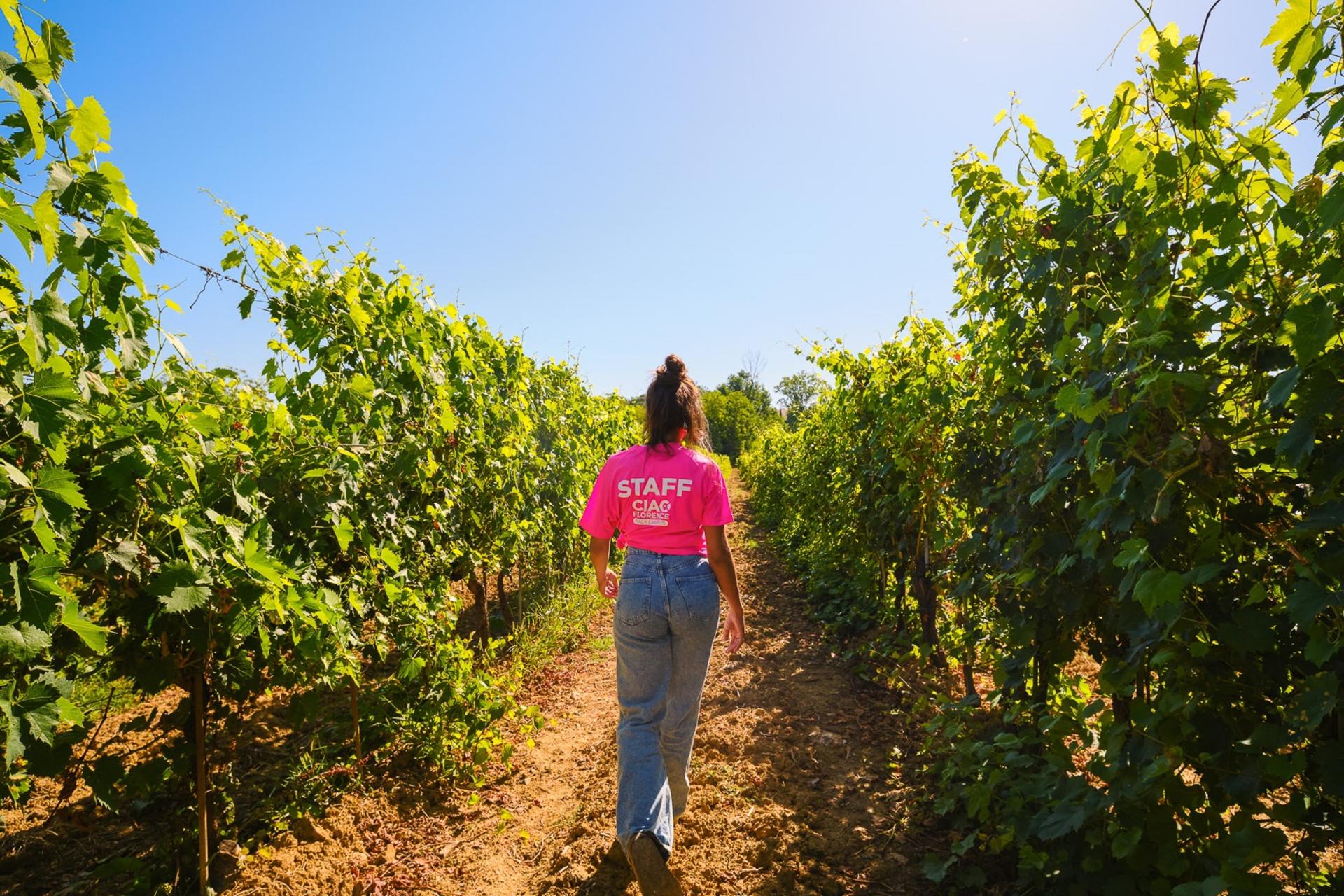Chianti Vineyards Escape Half-Day Tour from Florence - Thumbnail 14