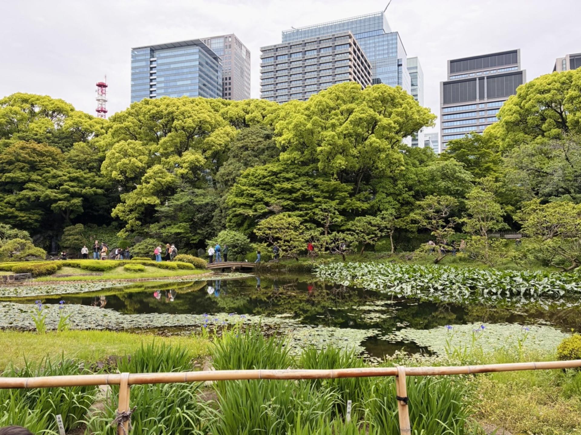Tokyo: Imperial Palace & Shogun Castle Walking Tour - Thumbnail 21