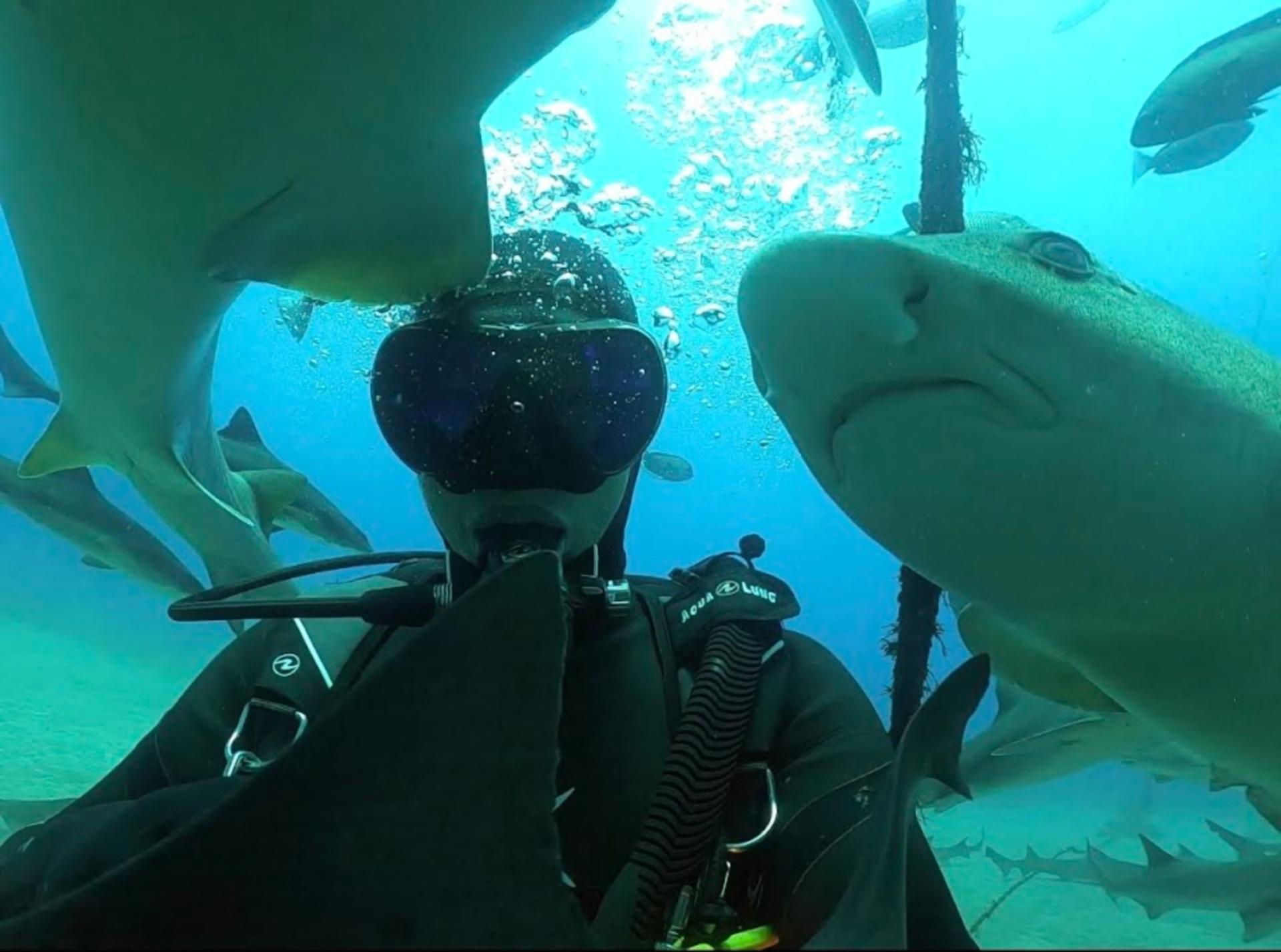 Izu Kogen Diving School Shibuya Branch - Image 1