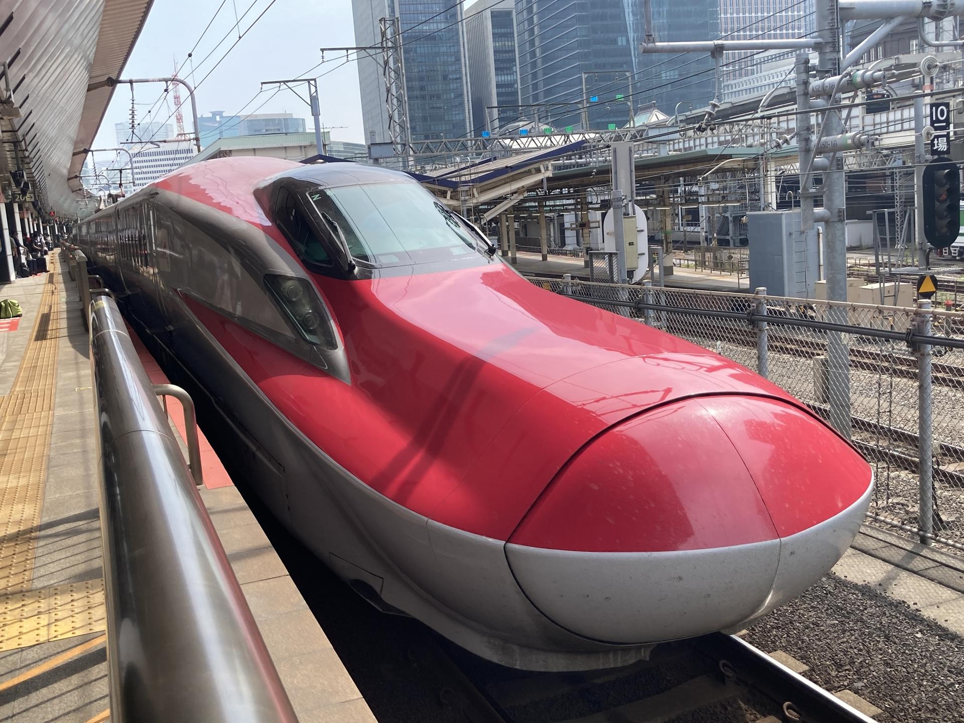 Tokyo Station Perfect Guide Walking Tour | History, Food and Anime - Thumbnail 2