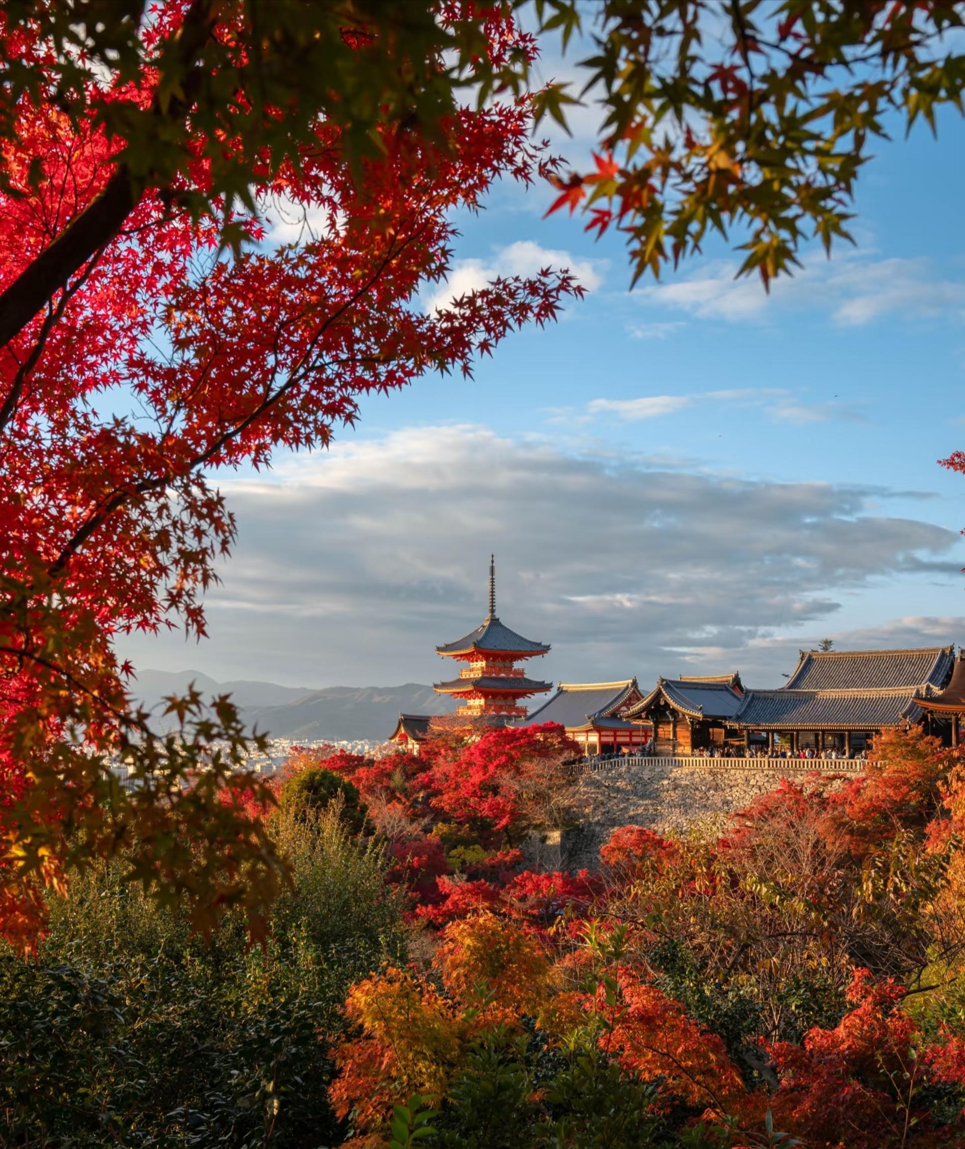 Kyoto one-day private tour (1~4 people) - Thumbnail 3