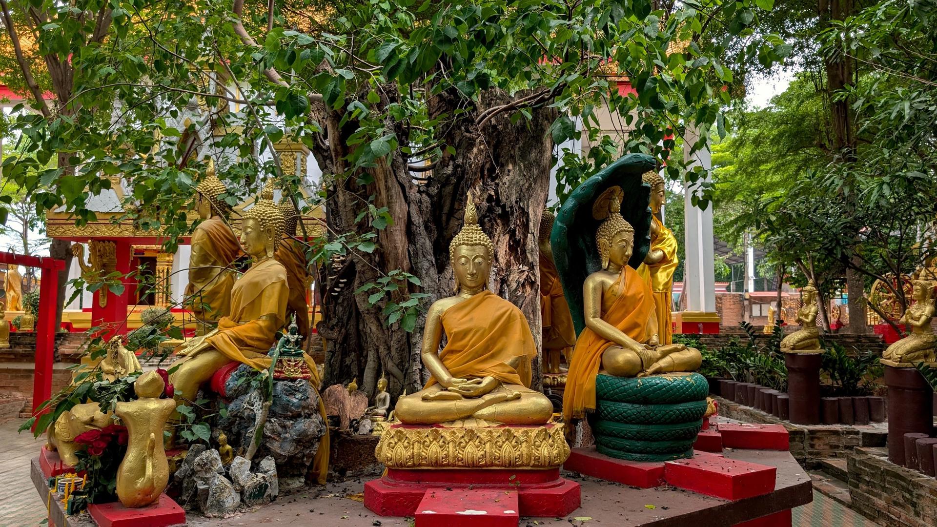 From Bangkok/Pattaya: Ayutthaya Private Day Trip with Boat Tour - Thumbnail 20