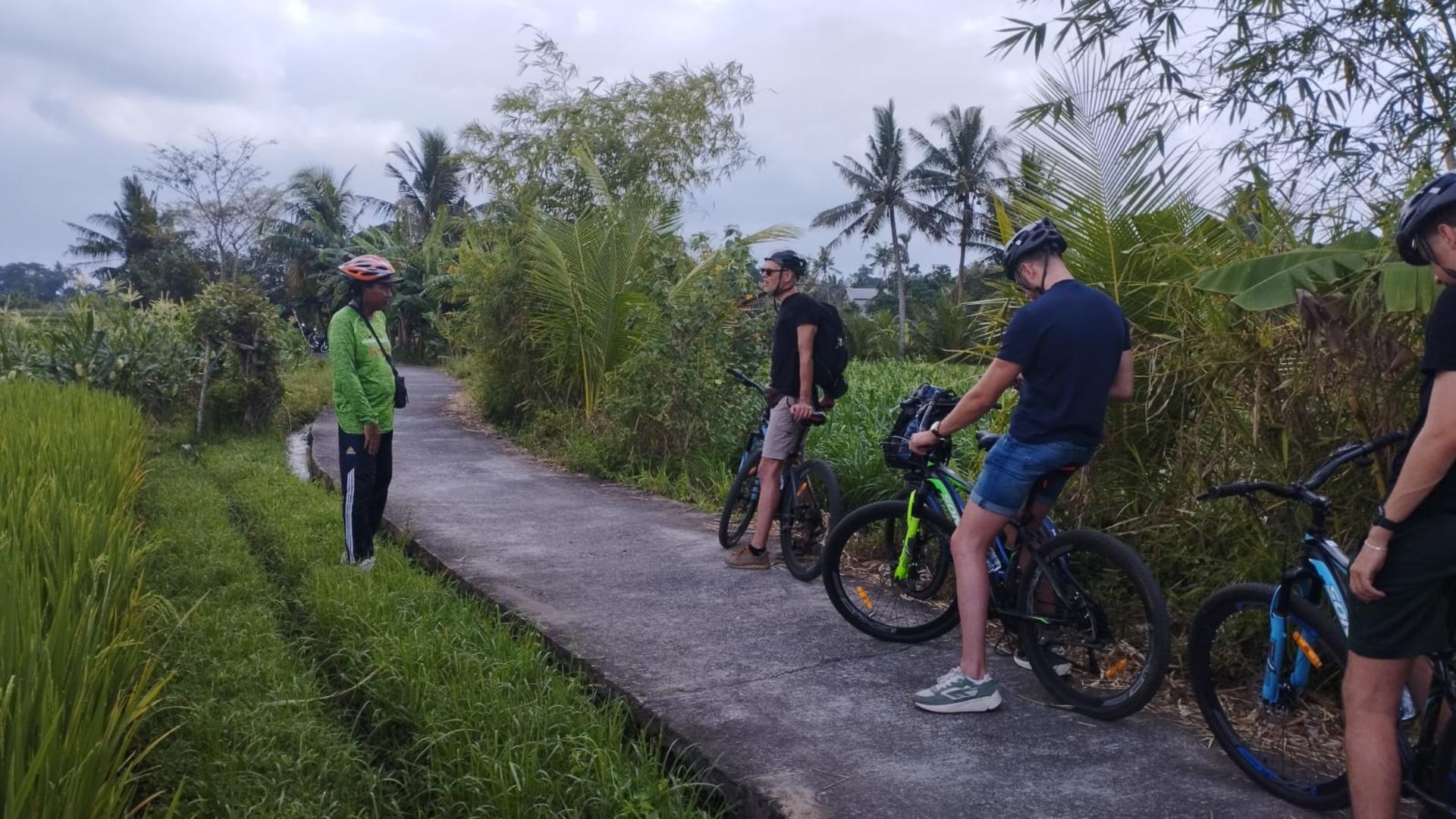 South Ubud Electric Bike Tour in Bali - Thumbnail 12